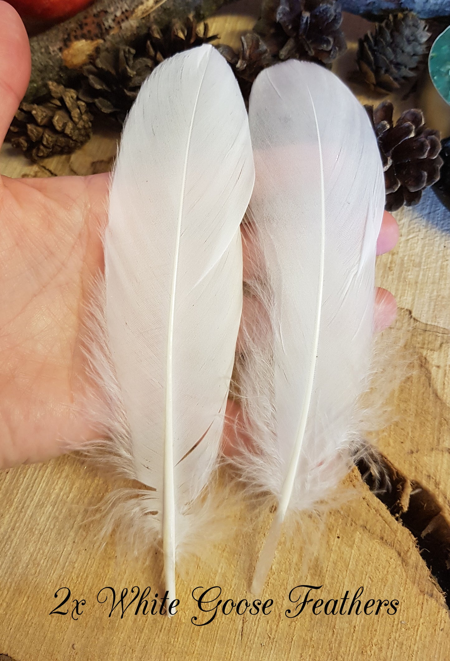 2x White Goose Feathers