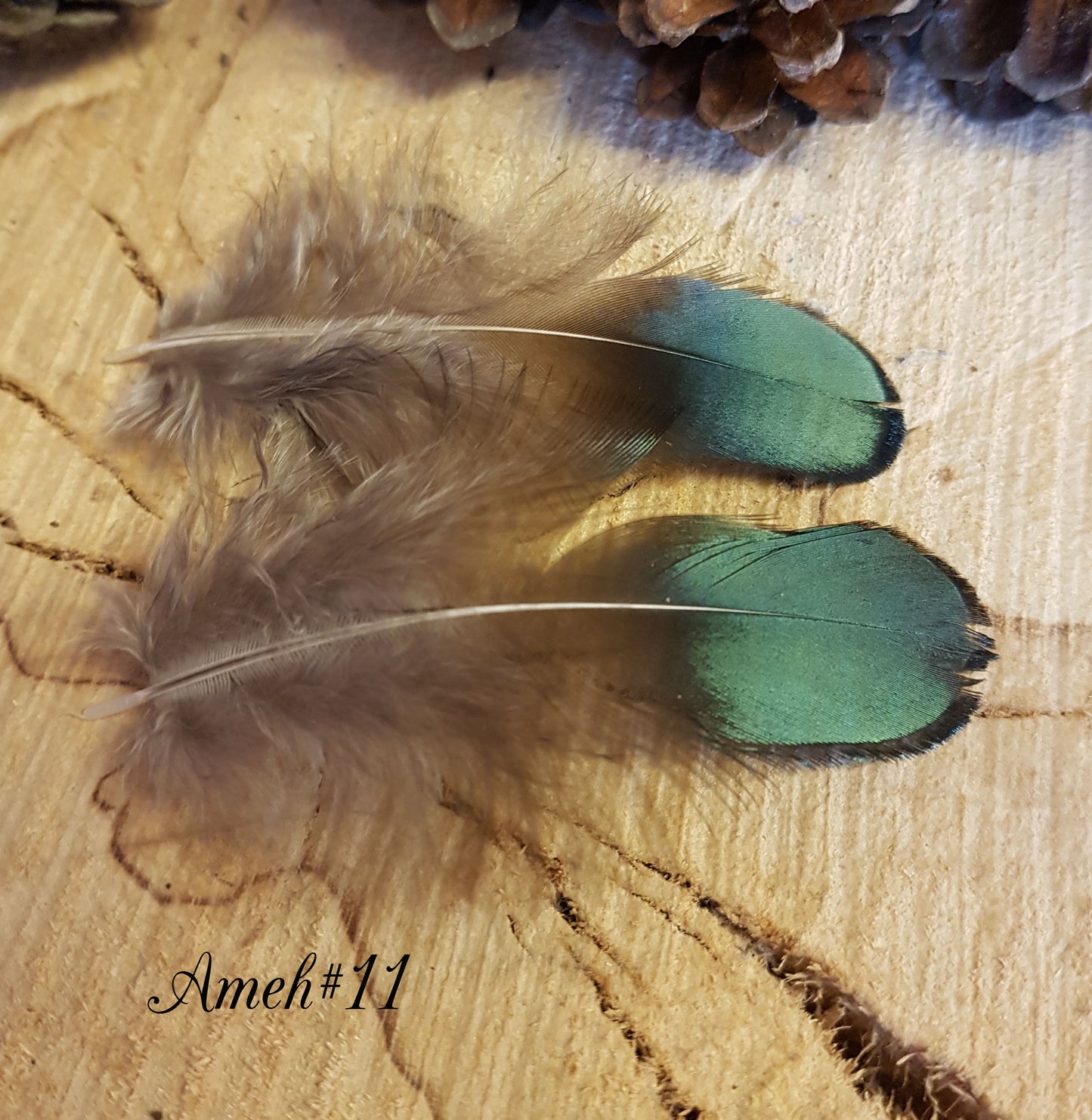 2x Green Amehurst Feathers