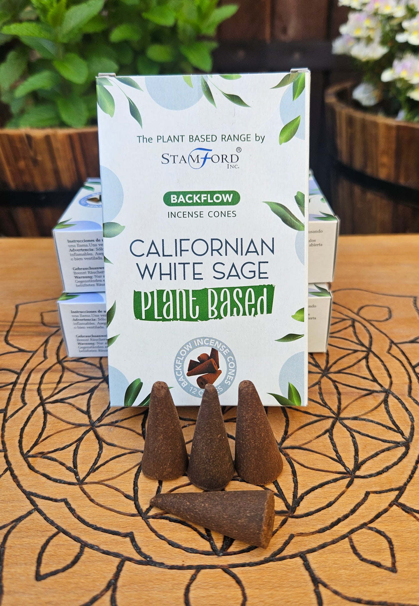 Backflow Burner Cones ~ California White Sage