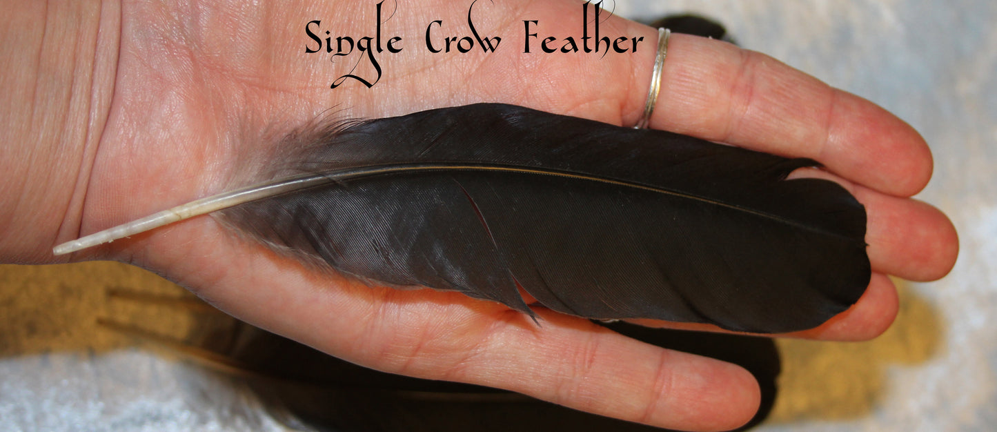 Crow Feathers