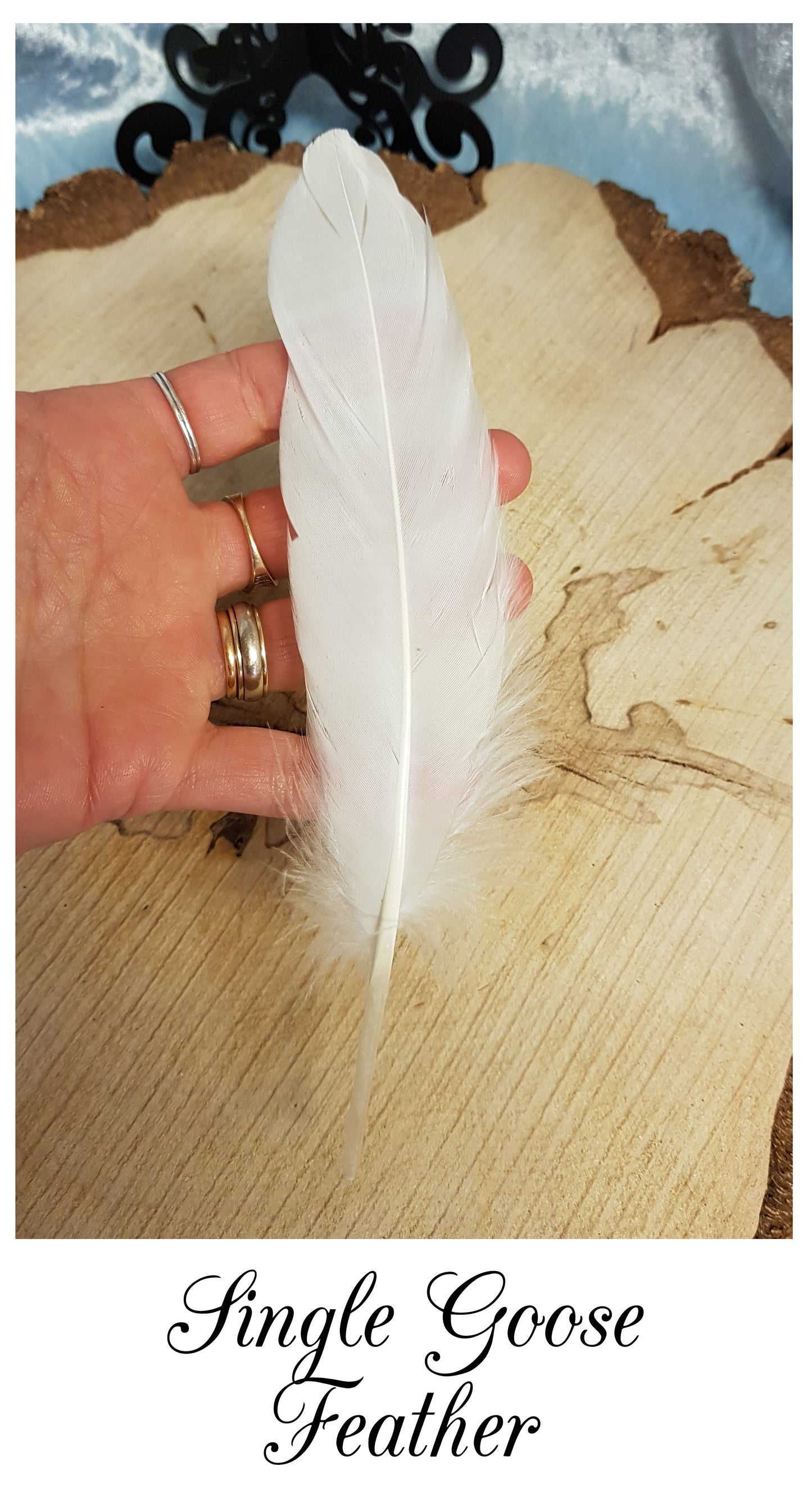 Single Goose Feathers - x1