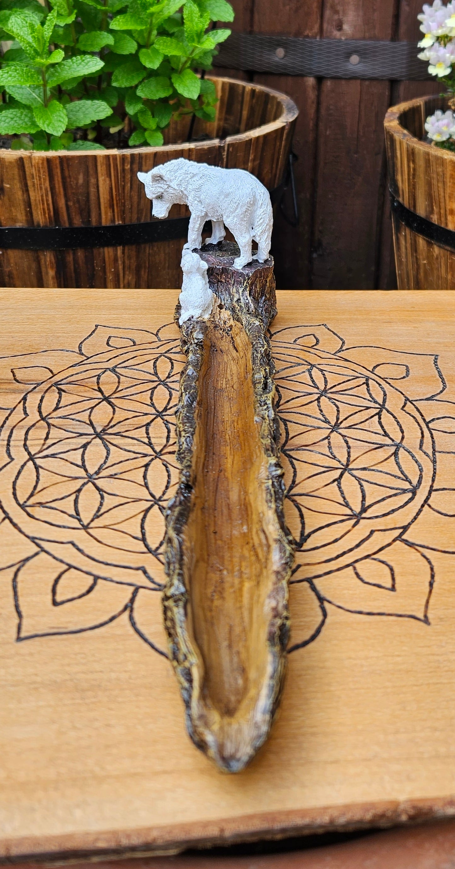 Nemesis Now ~ Wild Guide Incense Burner
