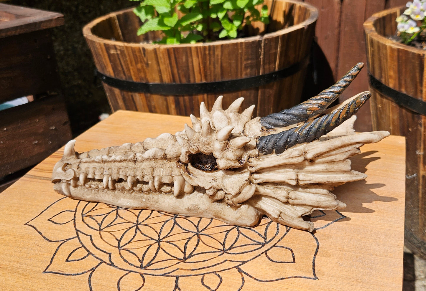 Nemesis Now ~ Drago Skull Incense Holder ~ New and Boxed