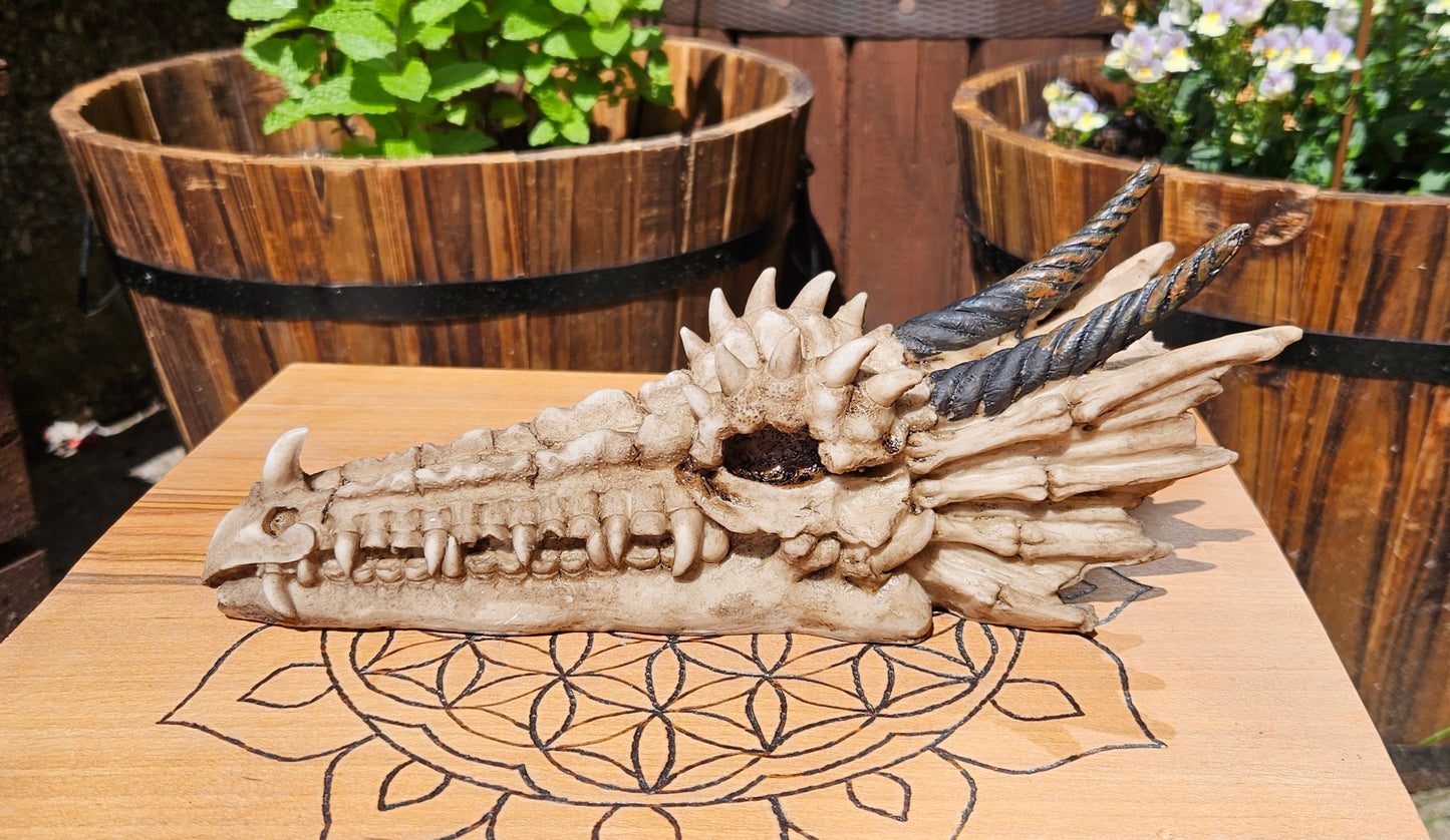 Nemesis Now ~ Drago Skull Incense Holder ~ New and Boxed