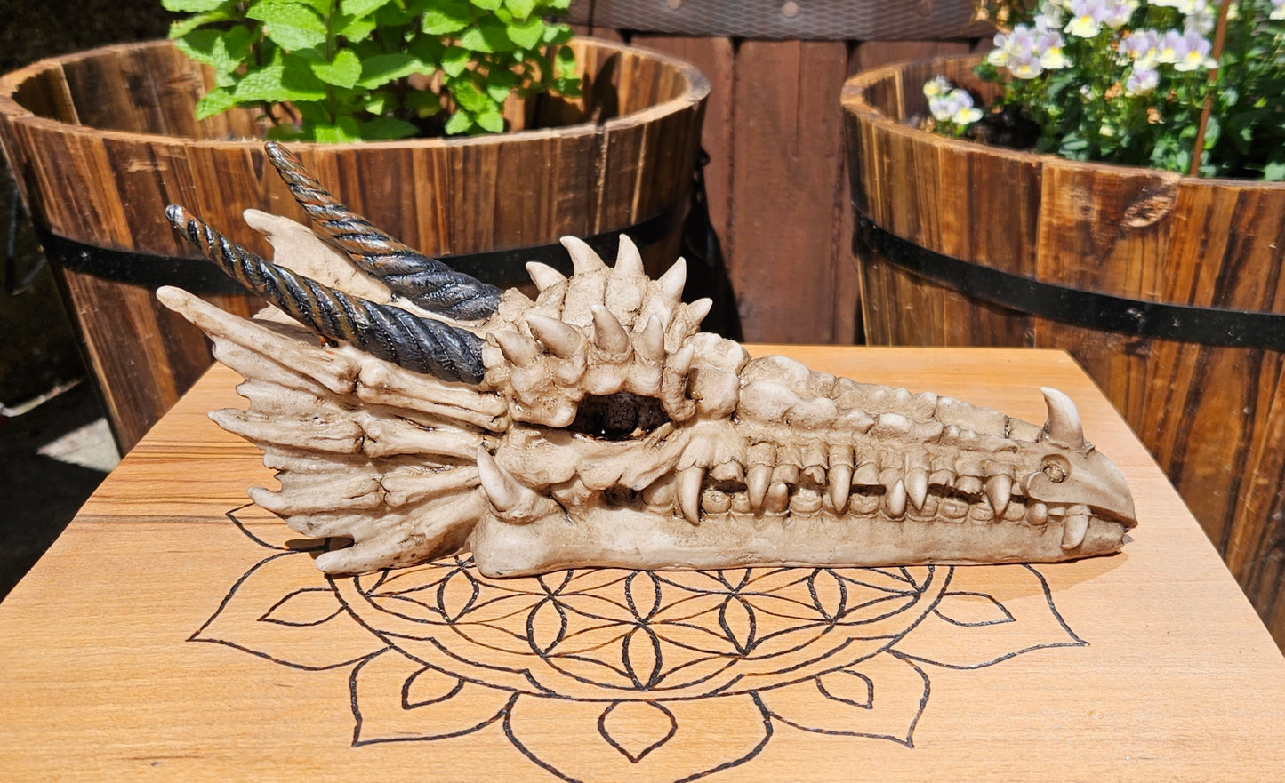 Nemesis Now ~ Drago Skull Incense Holder ~ New and Boxed