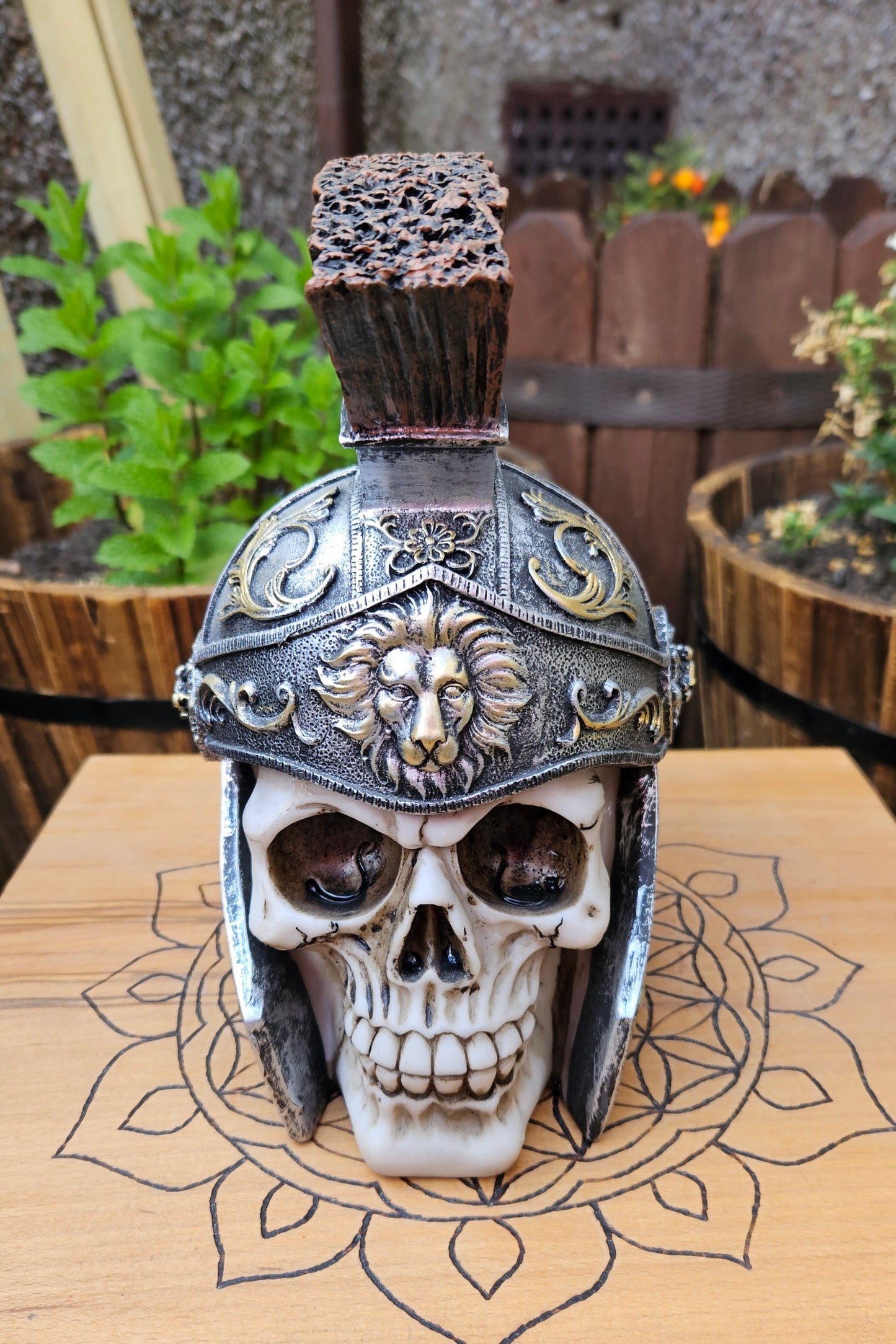 Roman Skull (Not its licensed name) - Nemesis Now - EX Display (No Box)