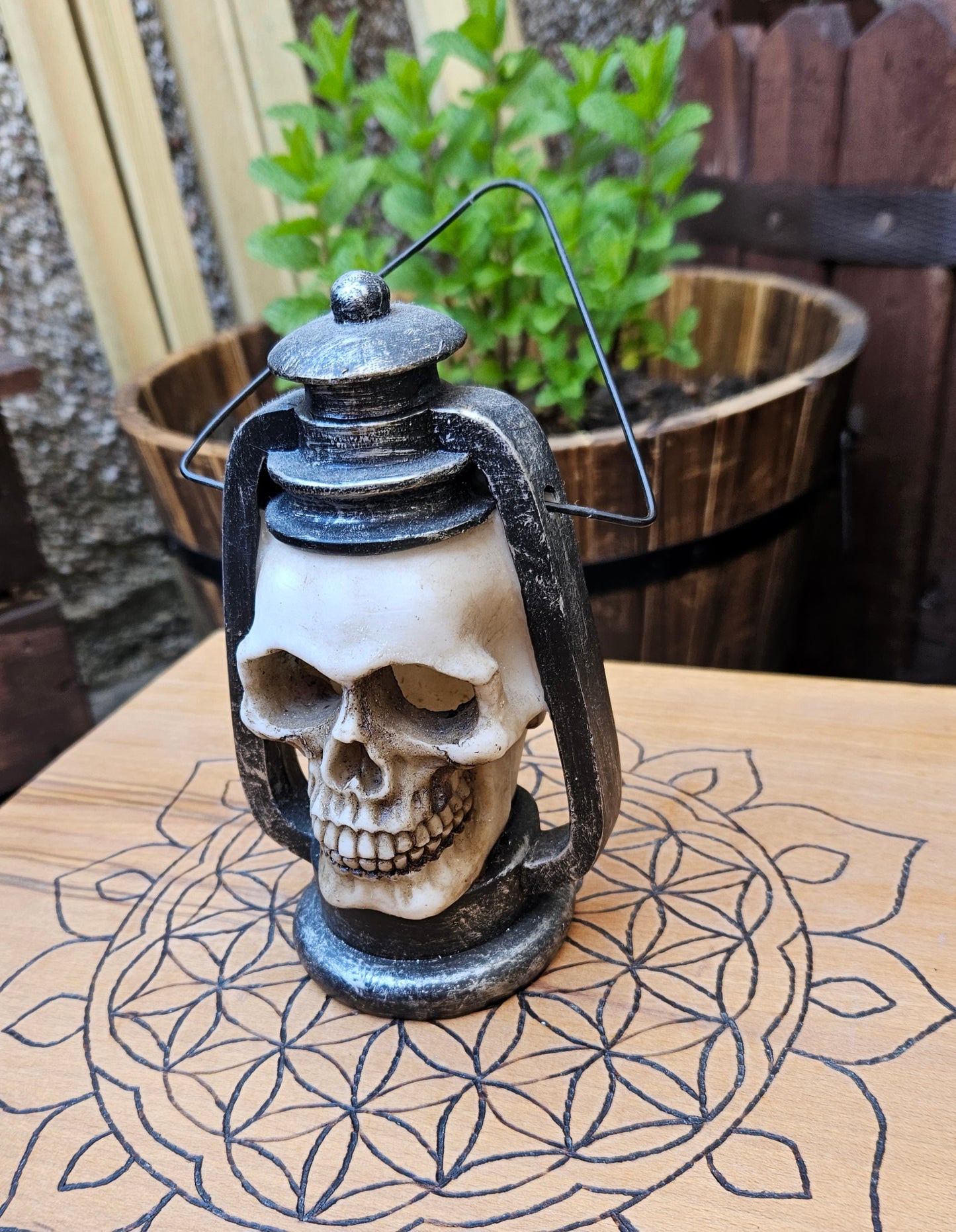 Skull Latern- EX Display (No Box)