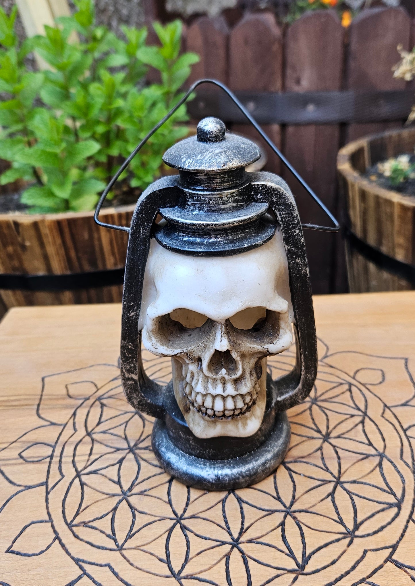 Skull Latern- EX Display (No Box)
