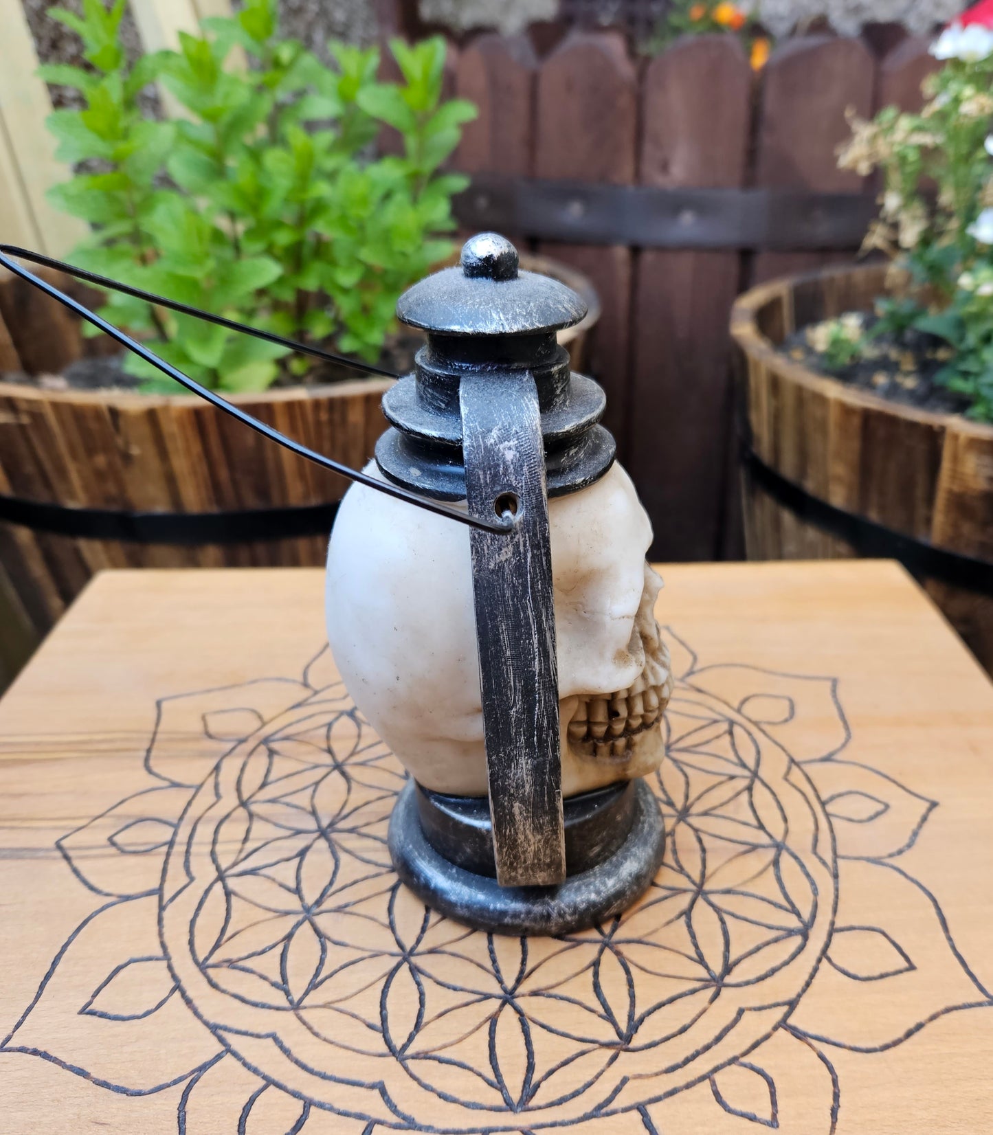 Skull Latern- EX Display (No Box)