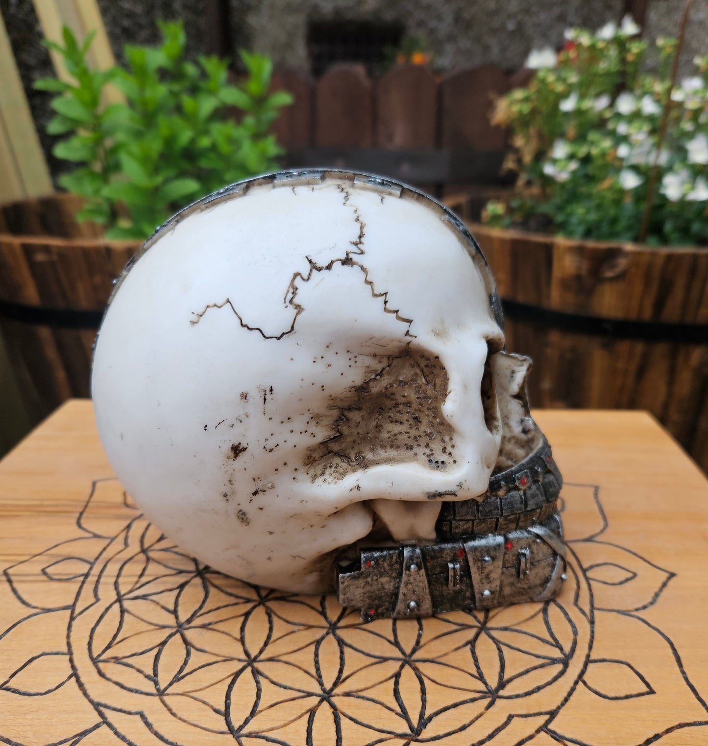 Cyber Skull (Not its licensed name) - Nemesis Now - EX Display (No Box)