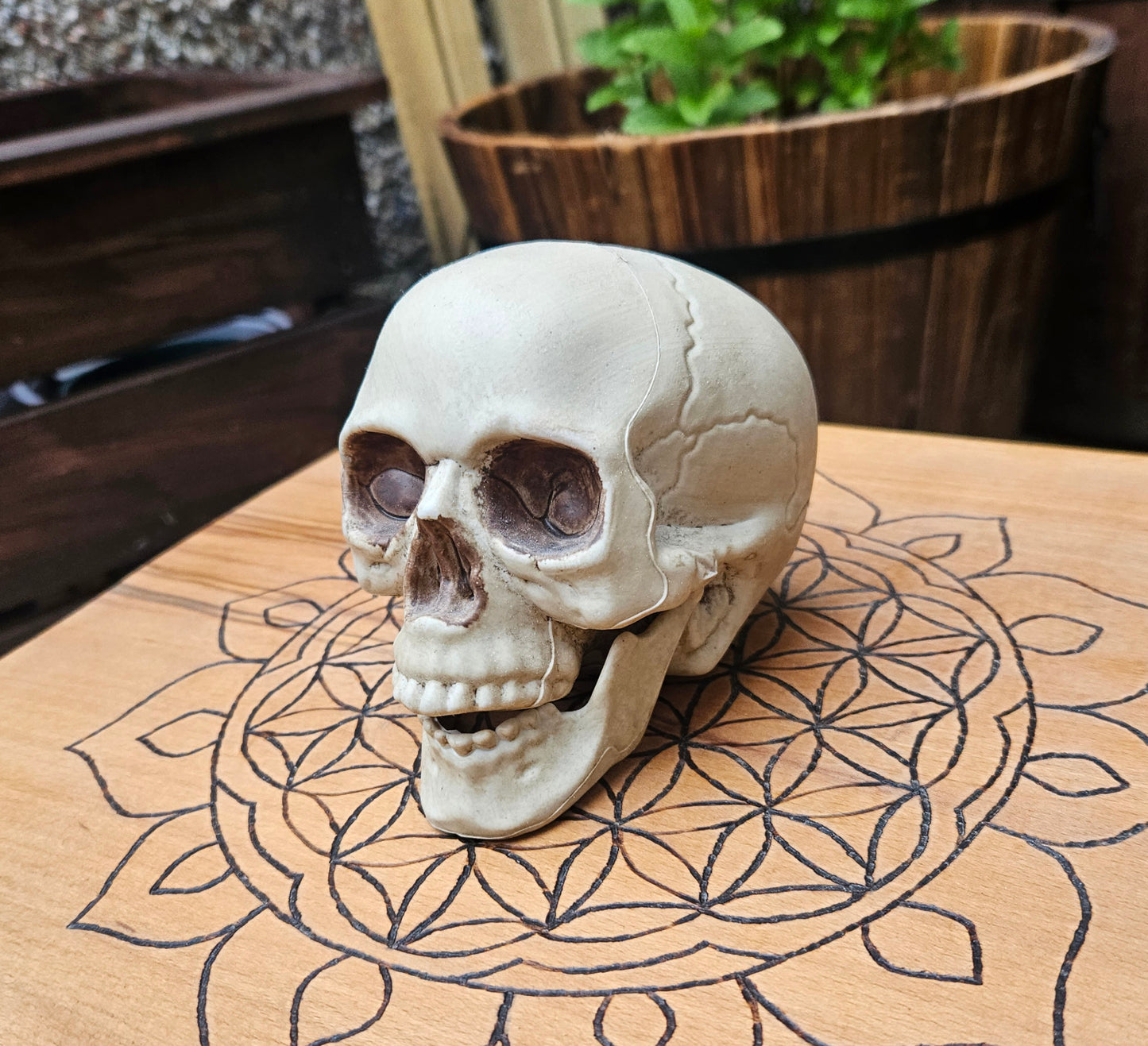 Hollow Laughing Skull - EX Display (No Box)
