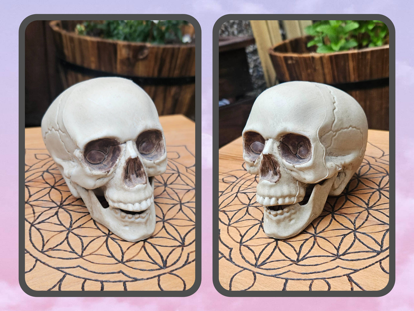 Hollow Laughing Skull - EX Display (No Box)