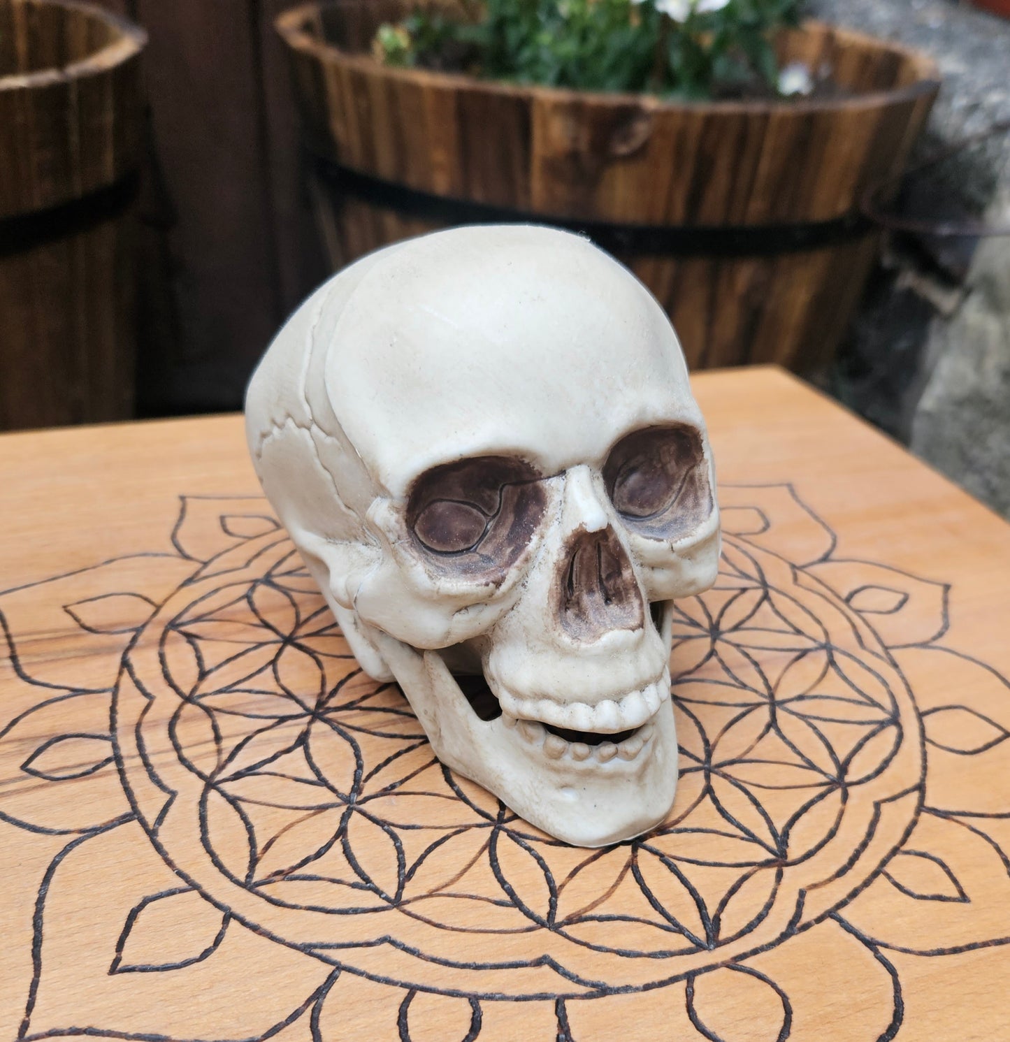 Hollow Laughing Skull - EX Display (No Box)