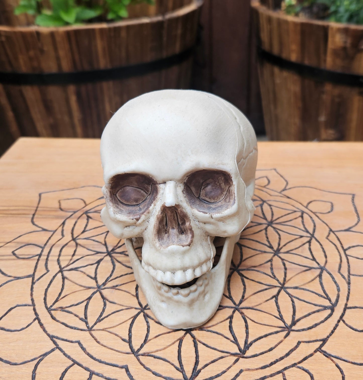 Hollow Laughing Skull - EX Display (No Box)