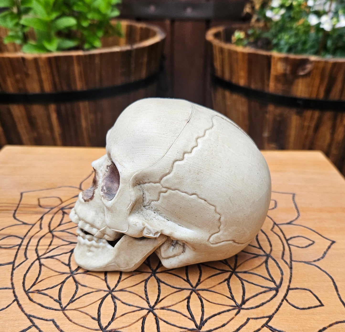 Hollow Laughing Skull - EX Display (No Box)
