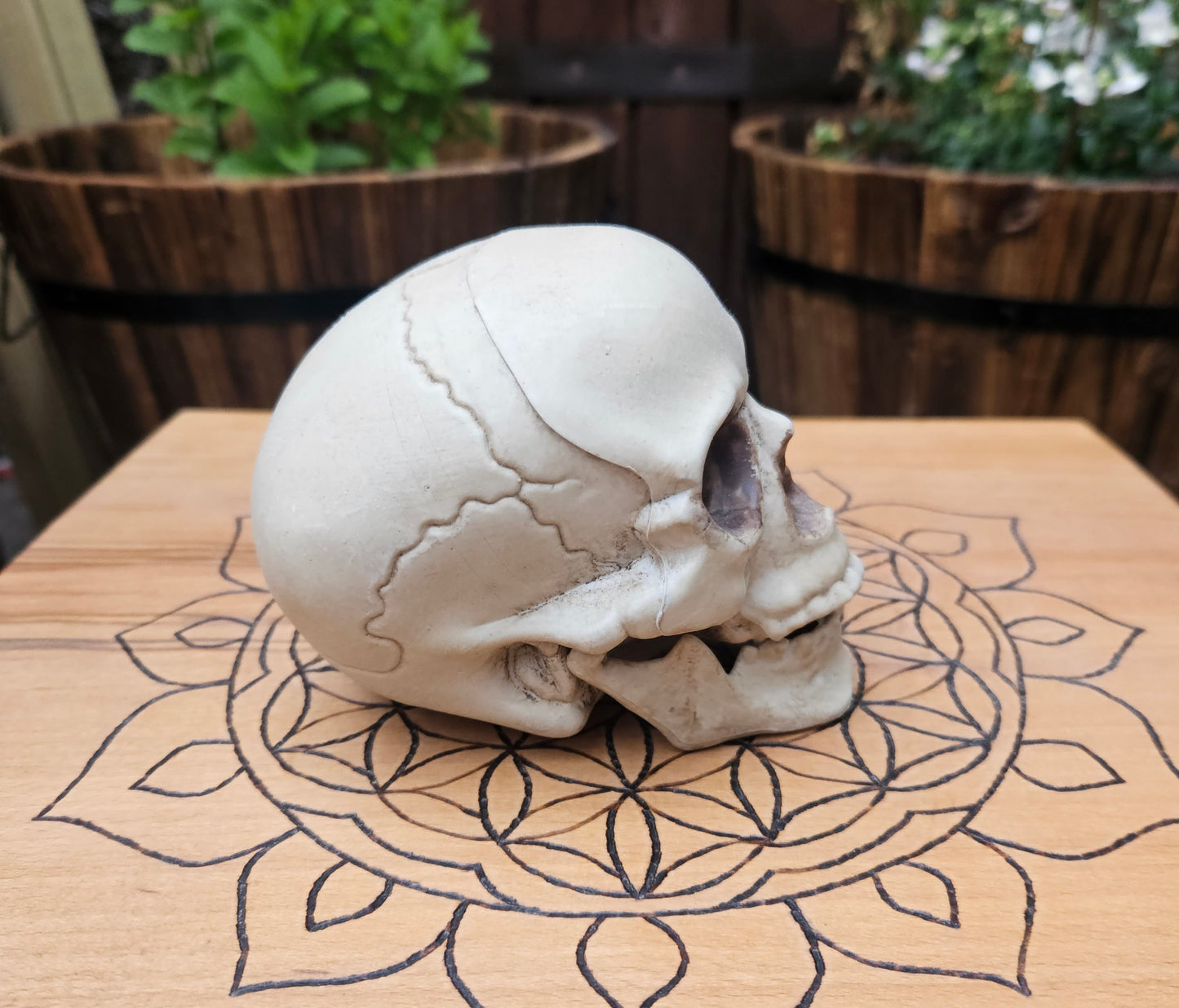 Hollow Laughing Skull - EX Display (No Box)