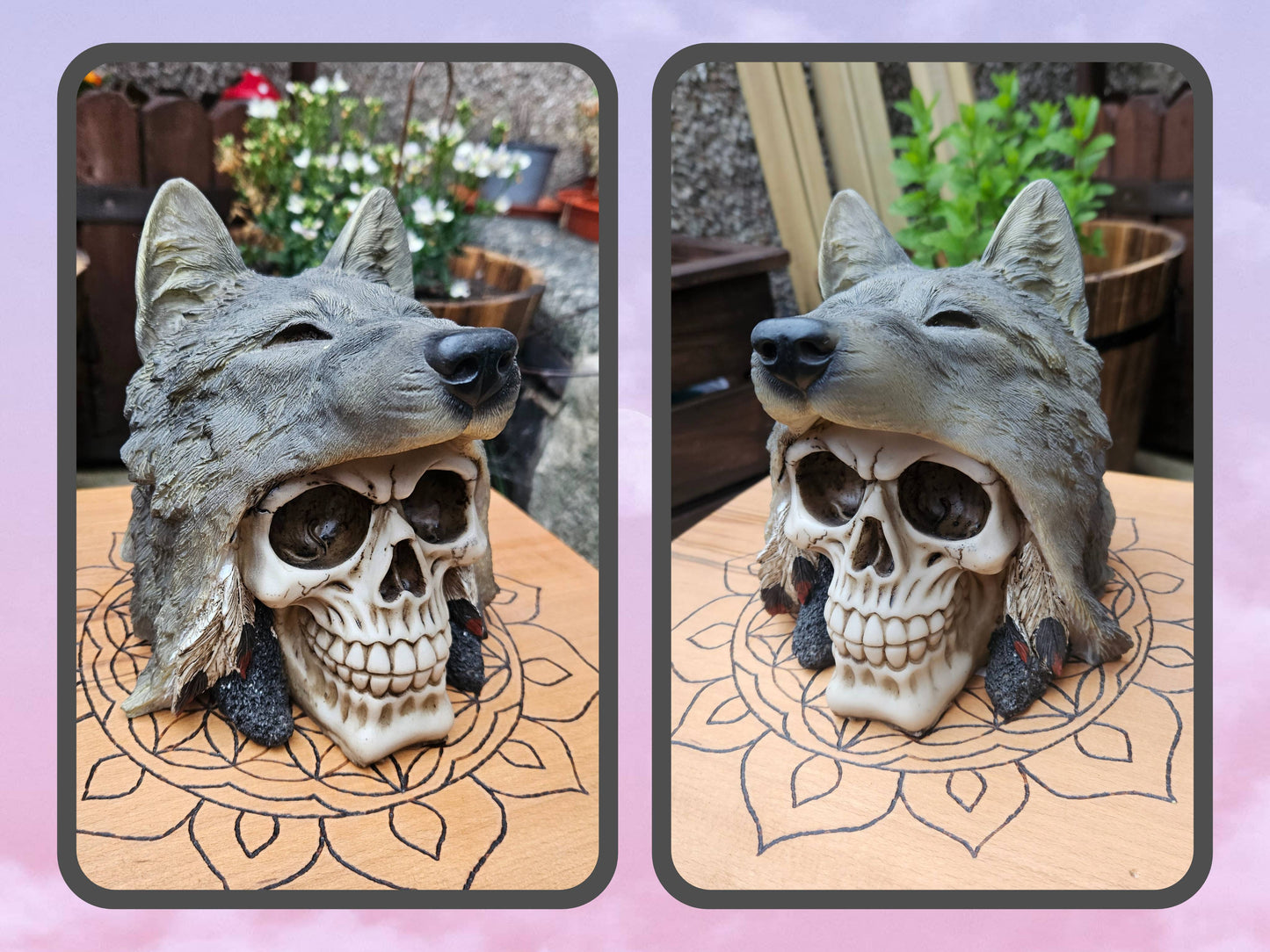 Wolf Chief Skull- EX Display (No Box)