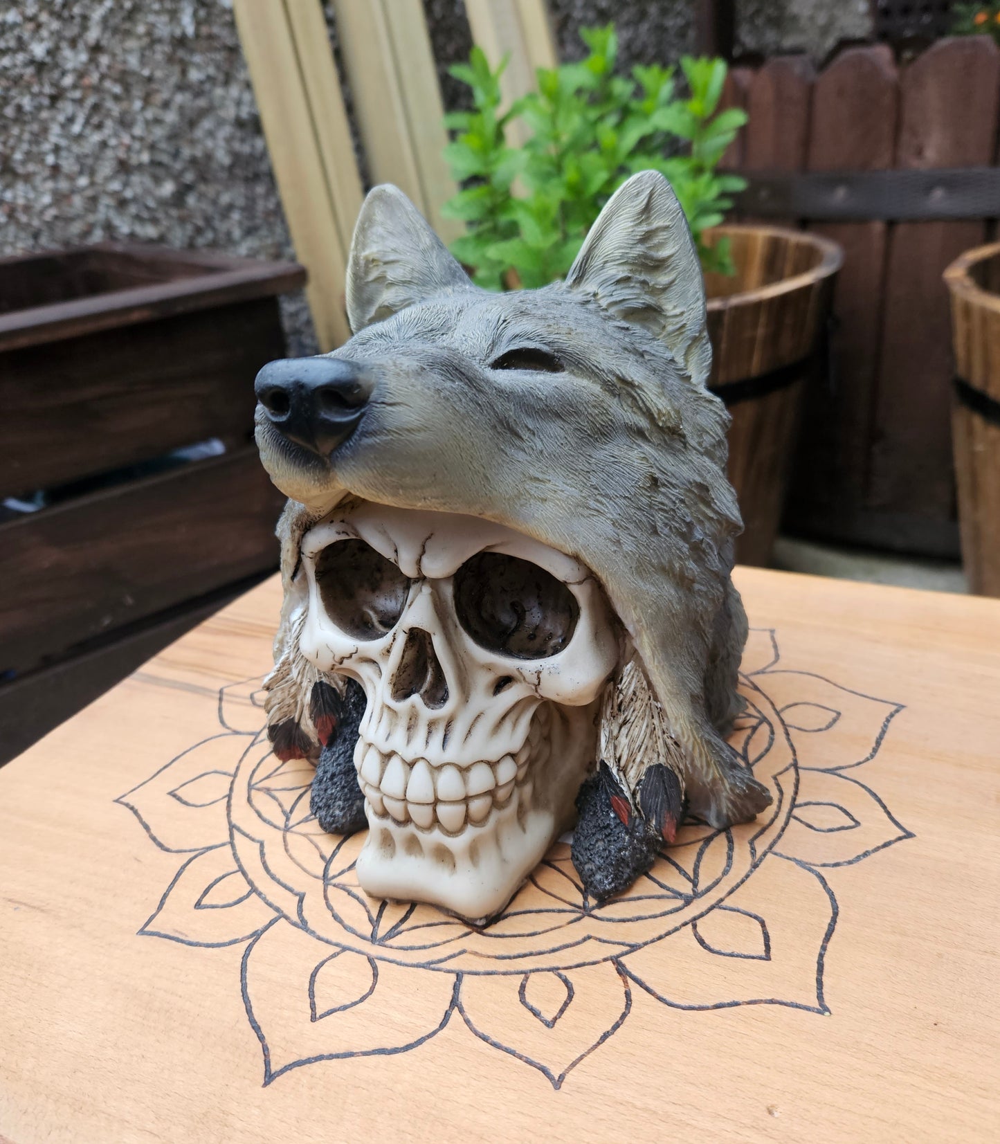 Wolf Chief Skull- EX Display (No Box)