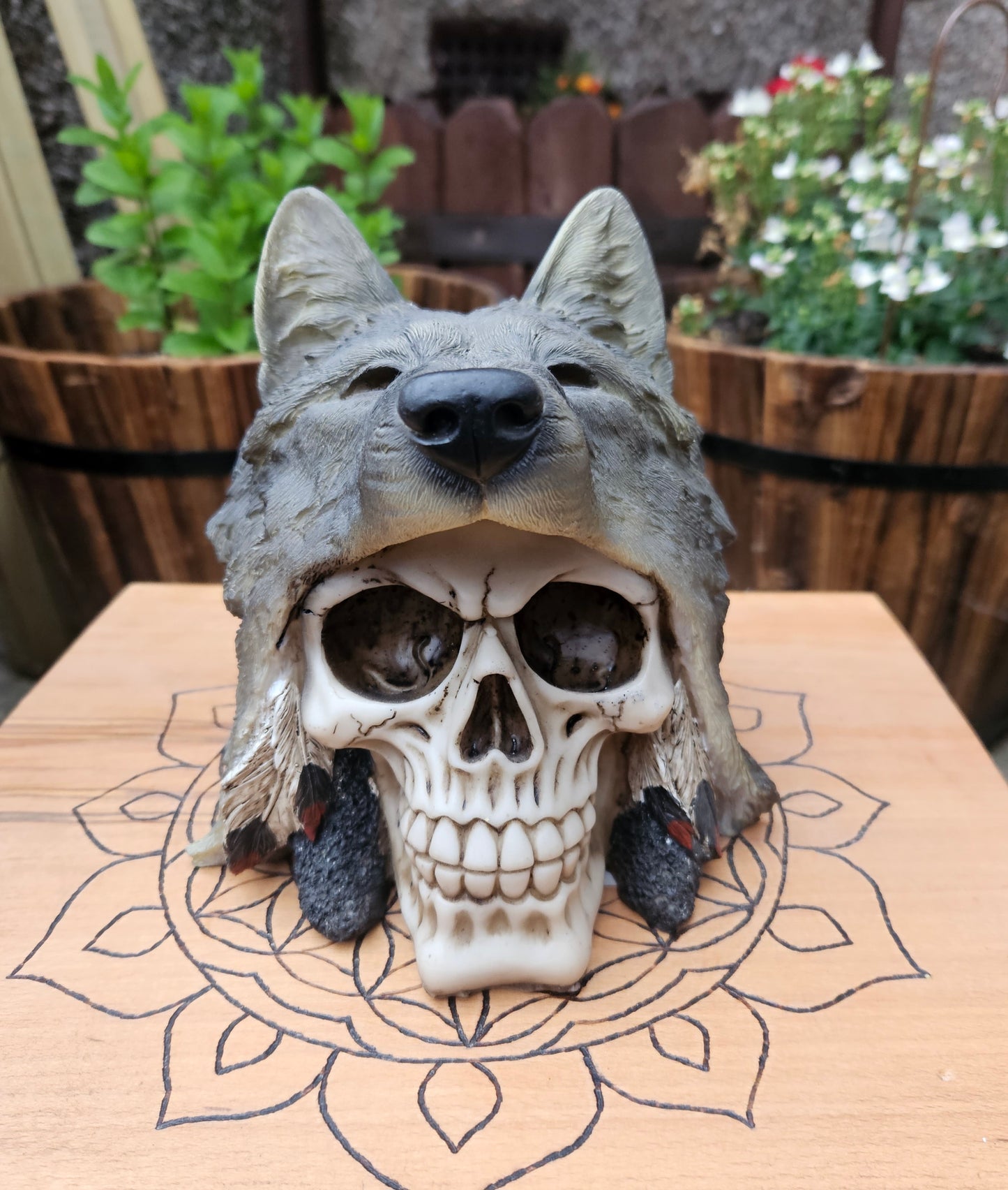 Wolf Chief Skull- EX Display (No Box)