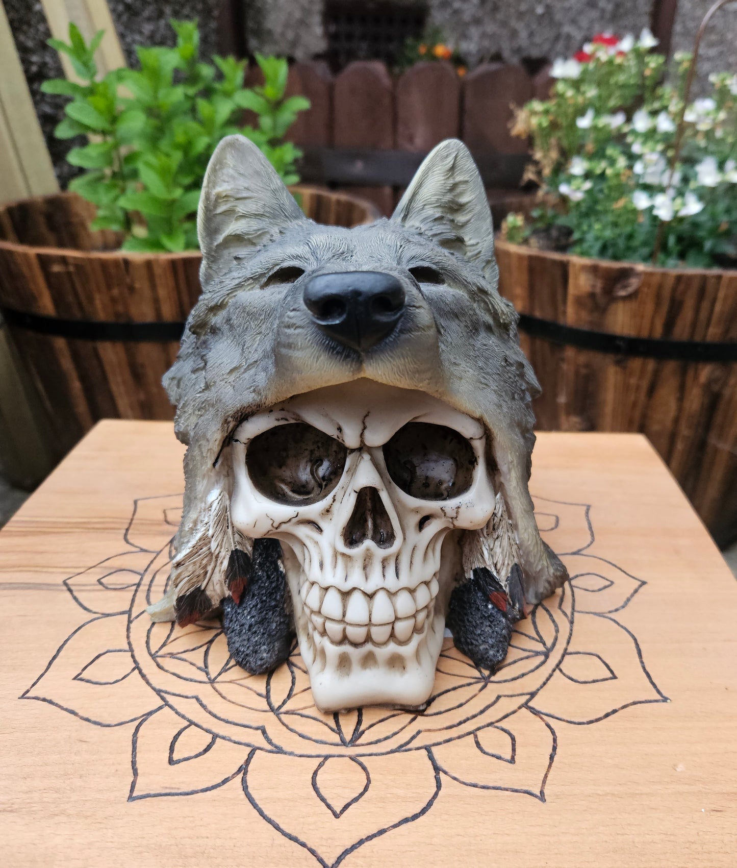 Wolf Chief Skull- EX Display (No Box)