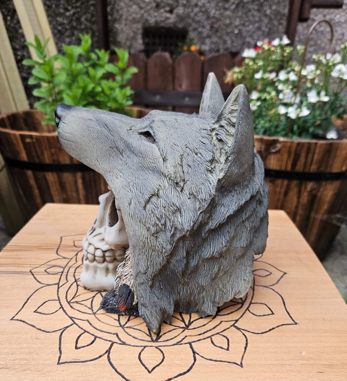 Wolf Chief Skull- EX Display (No Box)