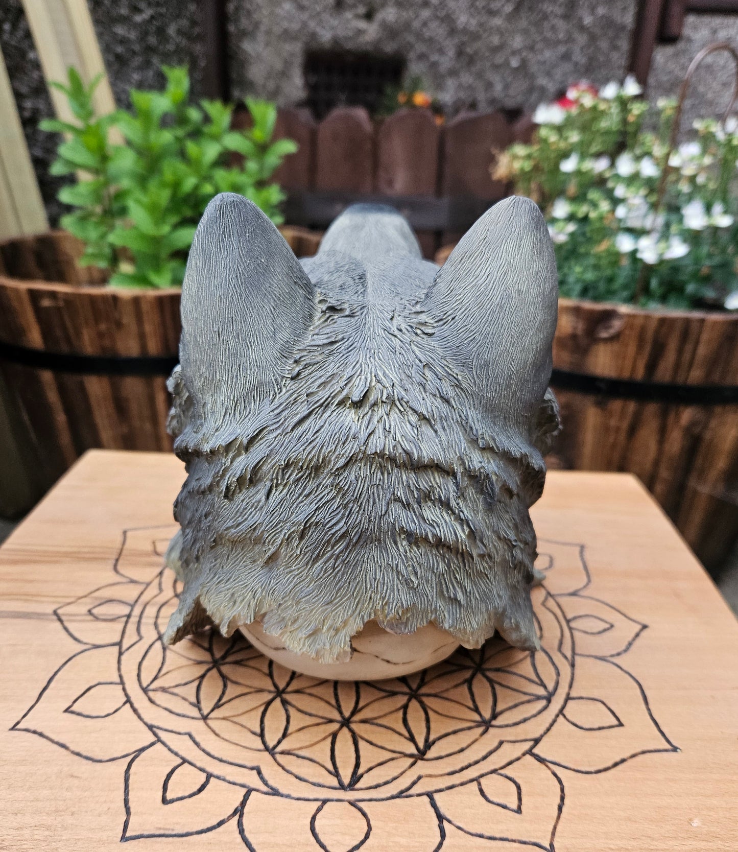 Wolf Chief Skull- EX Display (No Box)