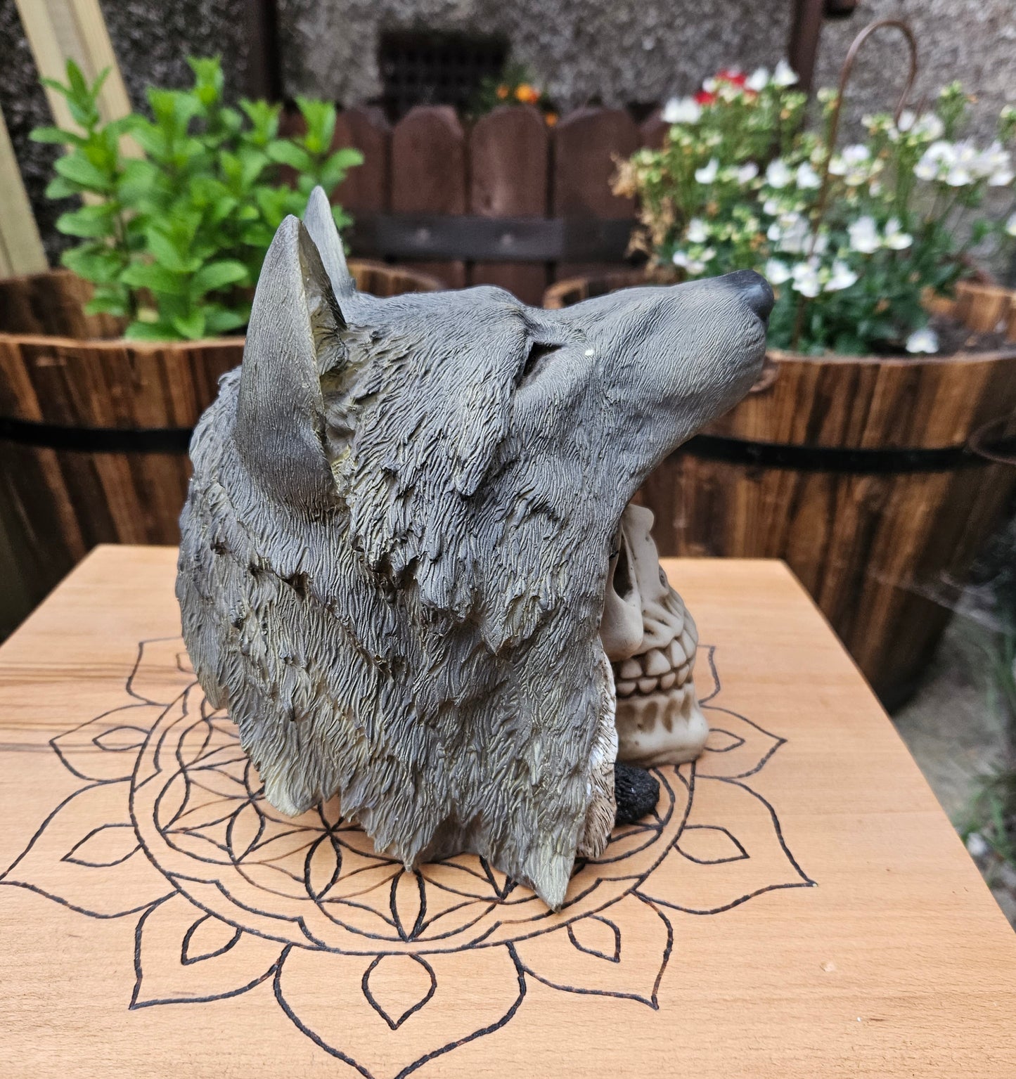 Wolf Chief Skull- EX Display (No Box)