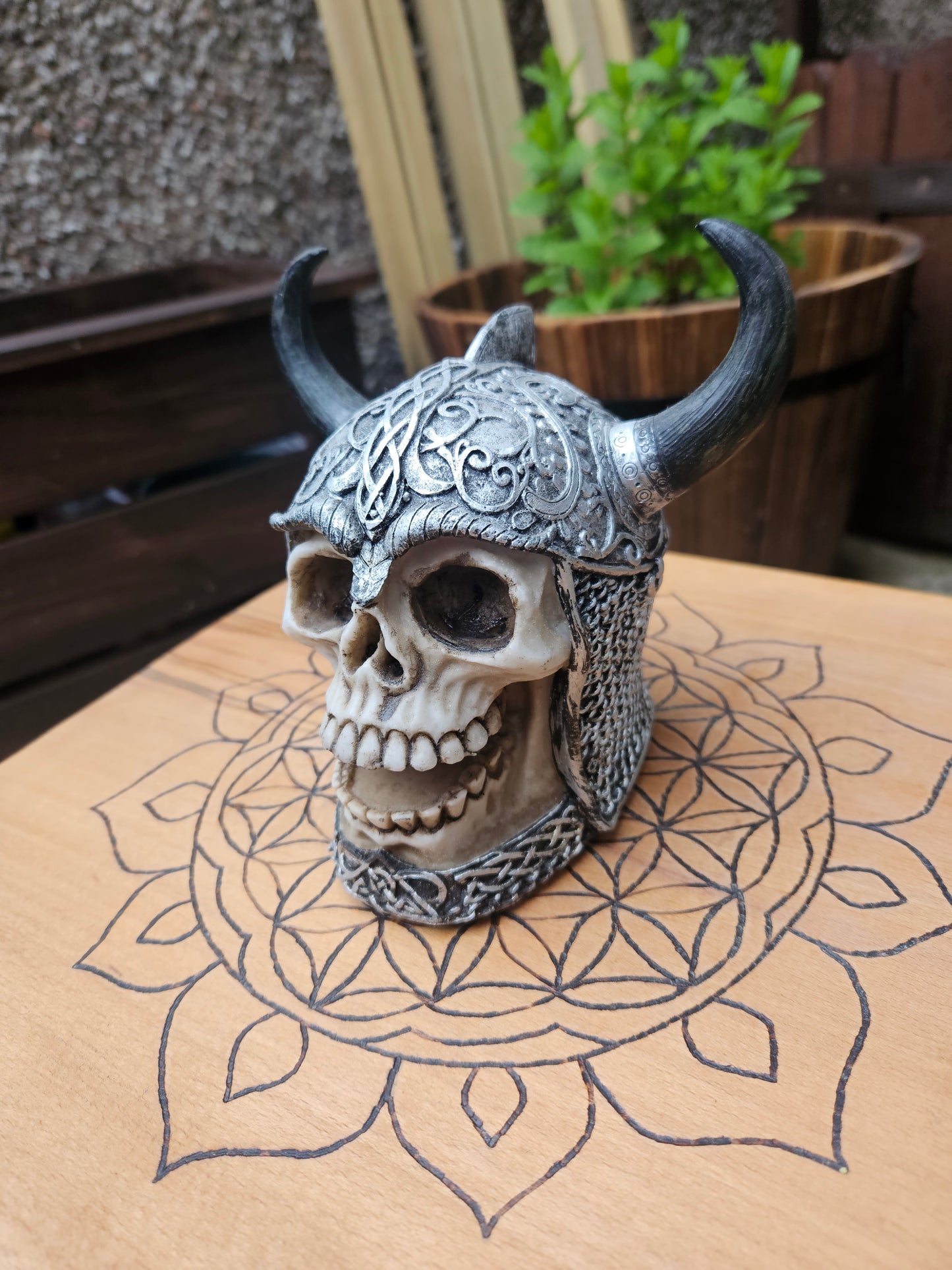 Viking Skull (not its licensed name) - Nemesis Now - EX Display (No Box)