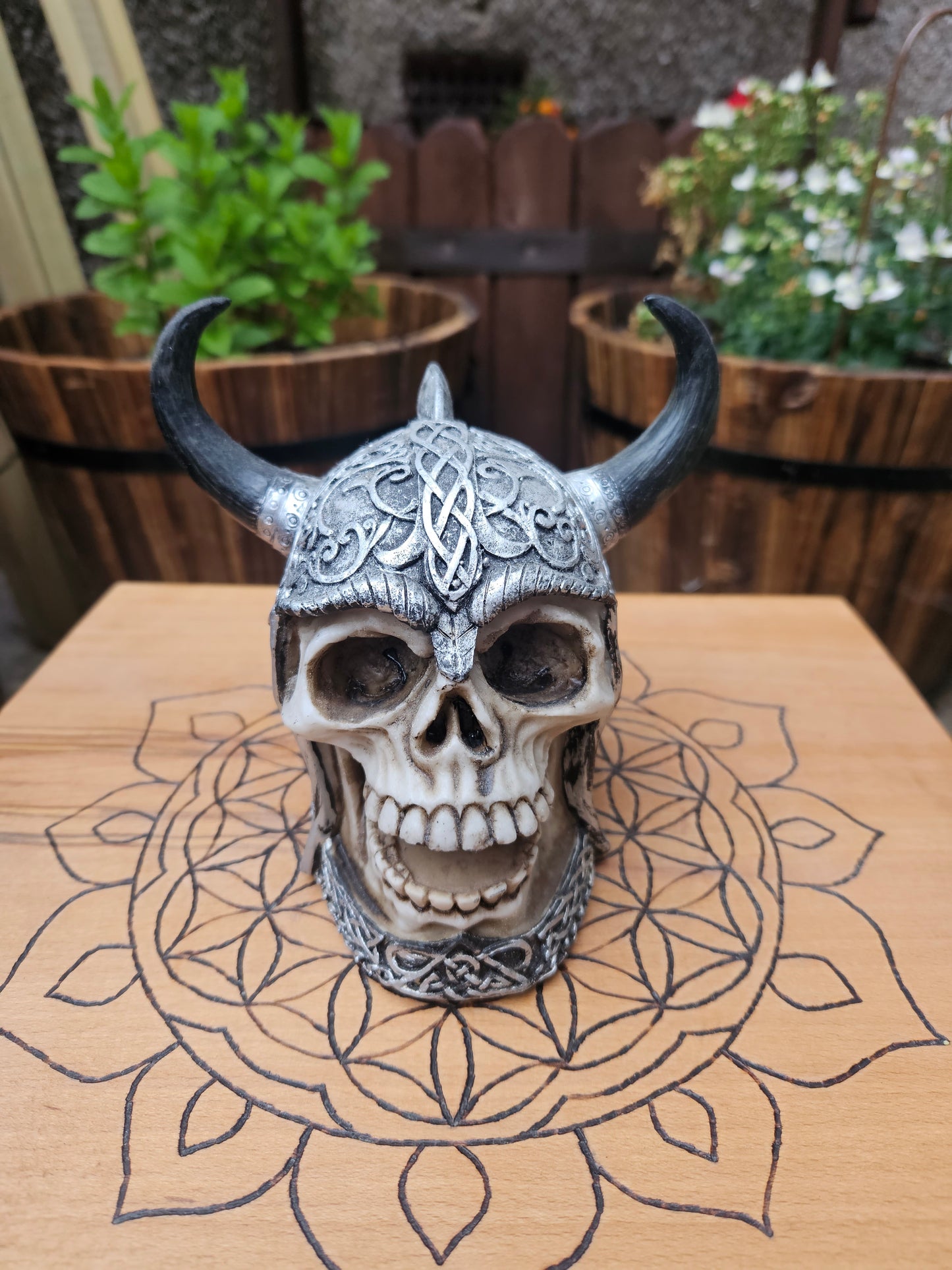 Viking Skull (not its licensed name) - Nemesis Now - EX Display (No Box)