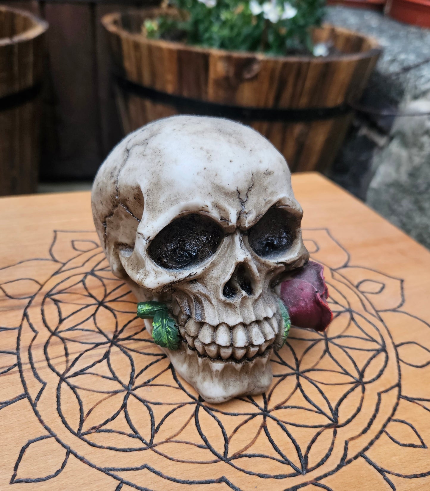 Romance Skull (Rose) (Not its licensed name) - Nemesis Now - EX Display (No Box)