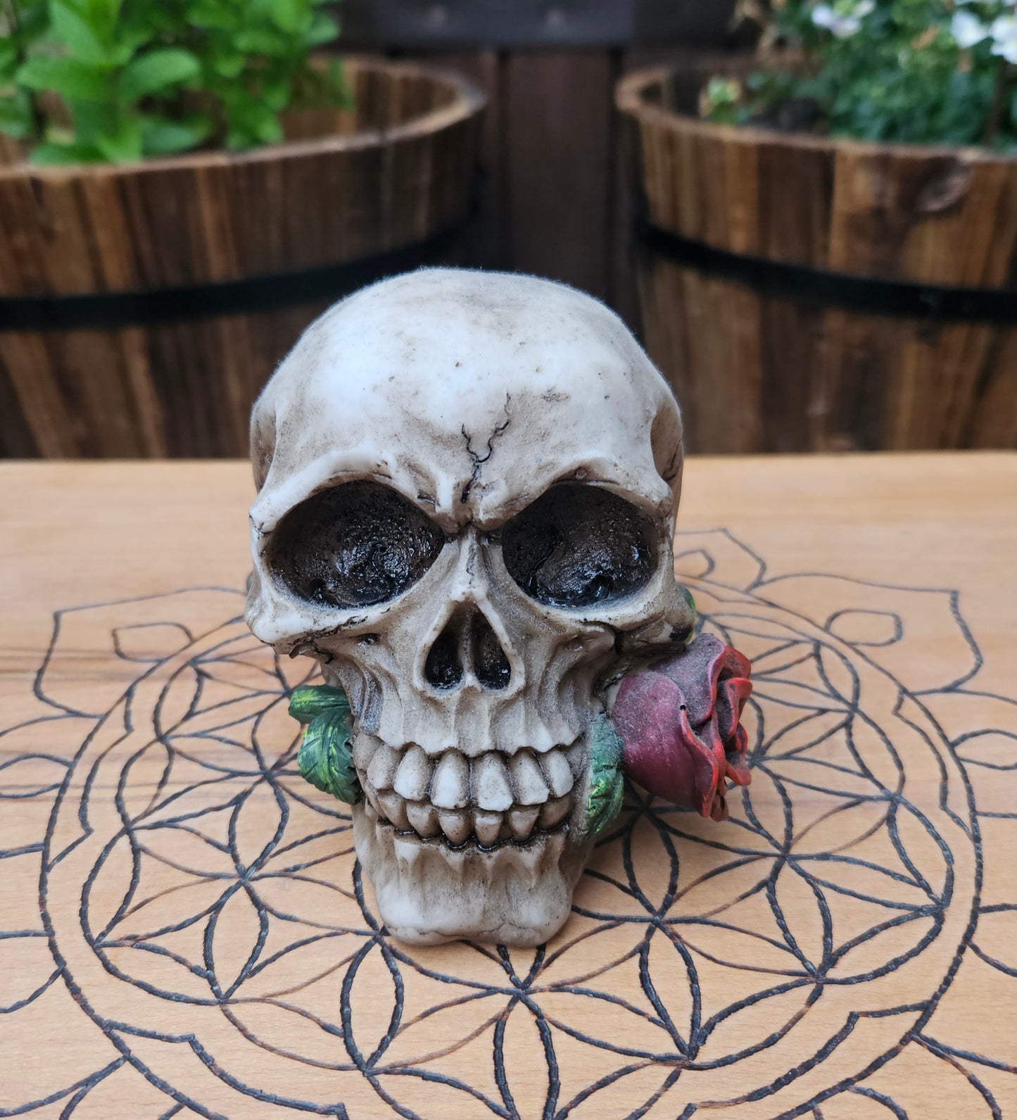 Romance Skull (Rose) (Not its licensed name) - Nemesis Now - EX Display (No Box)