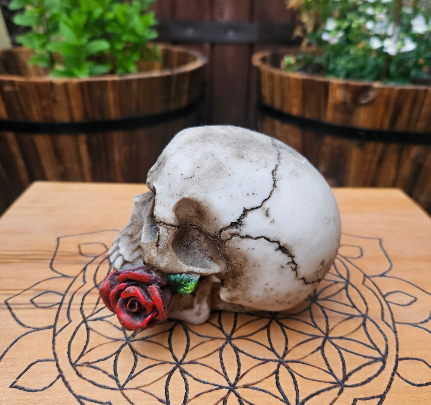 Romance Skull (Rose) (Not its licensed name) - Nemesis Now - EX Display (No Box)
