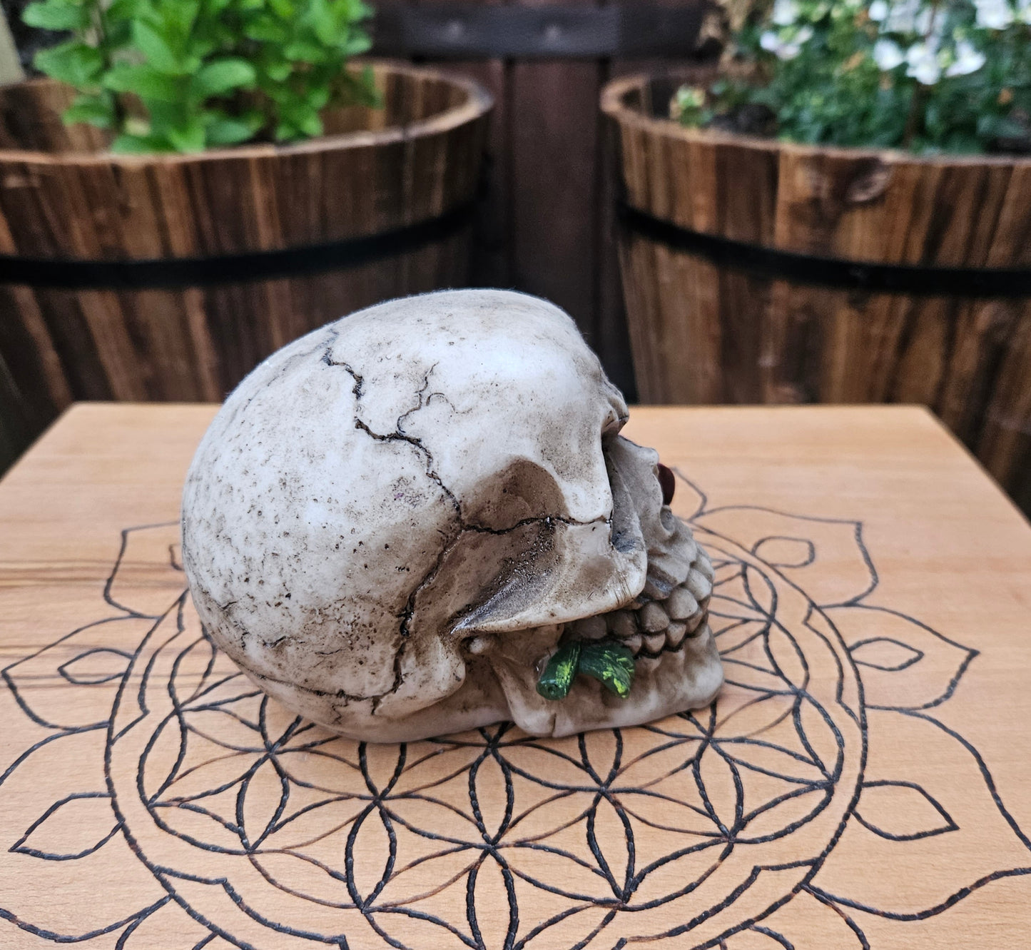 Romance Skull (Rose) (Not its licensed name) - Nemesis Now - EX Display (No Box)
