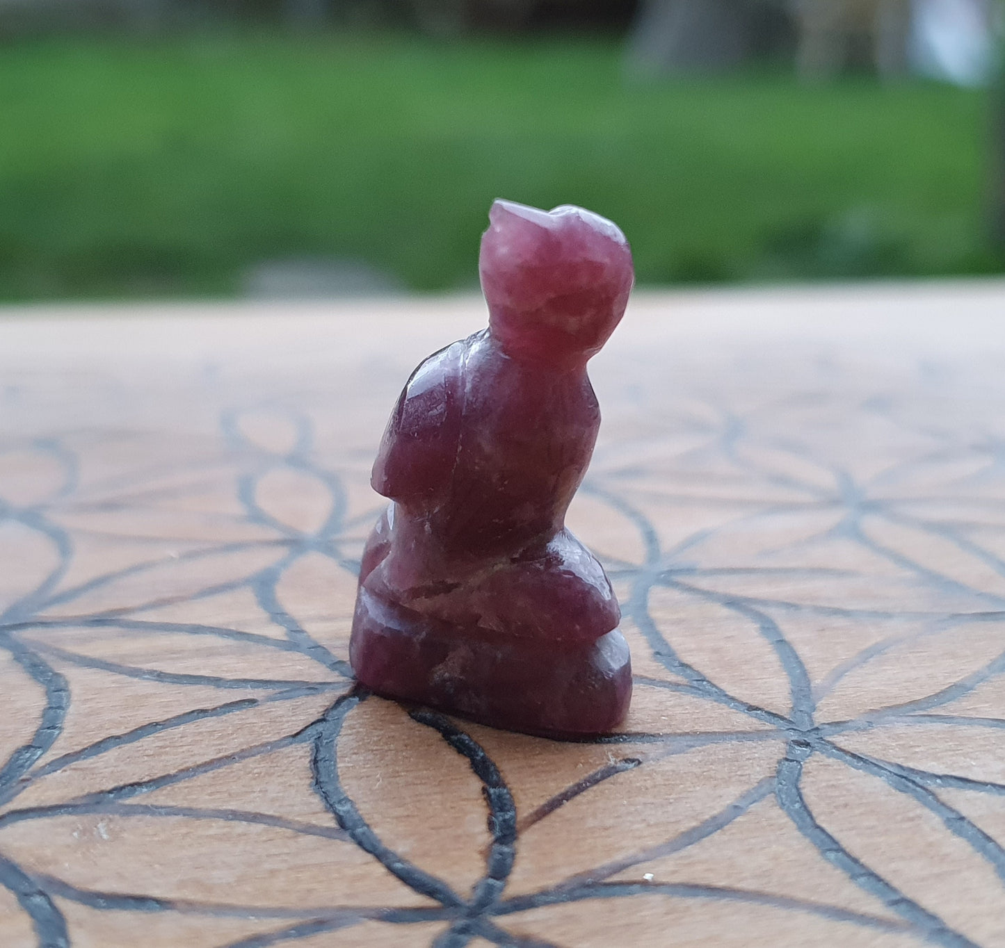 Carved Ruby Zoisite Totem - Bird