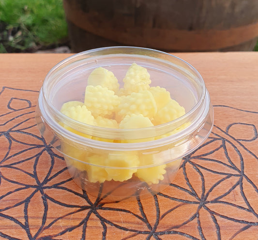 Scented Wax Melts - Lemon and Sage
