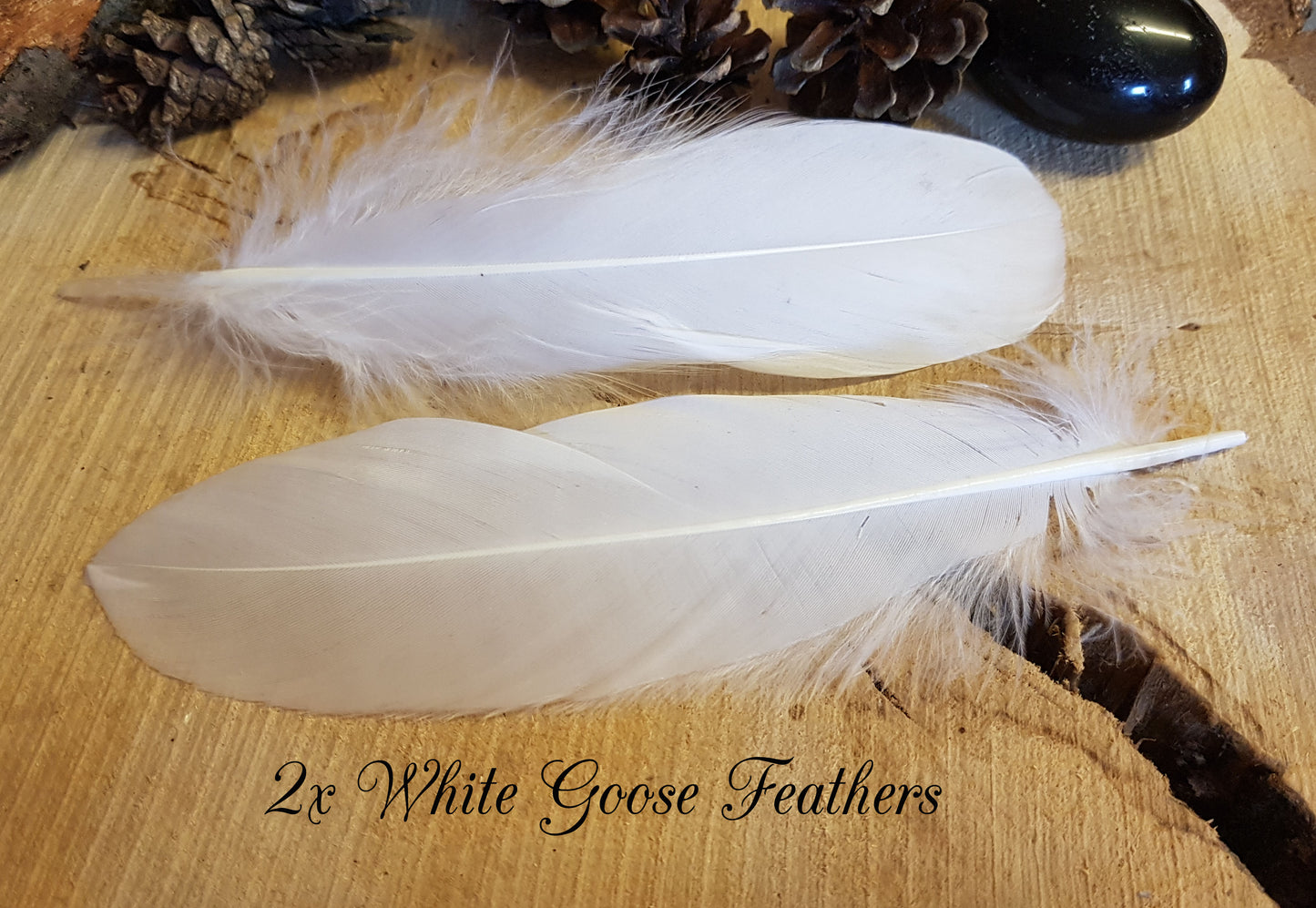 2x White Goose Feathers