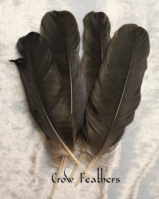 Crow Feathers