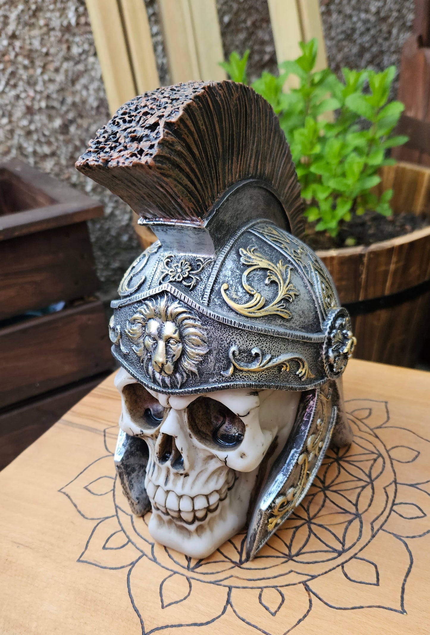 Roman Skull (Not its licensed name) - Nemesis Now - EX Display (No Box)