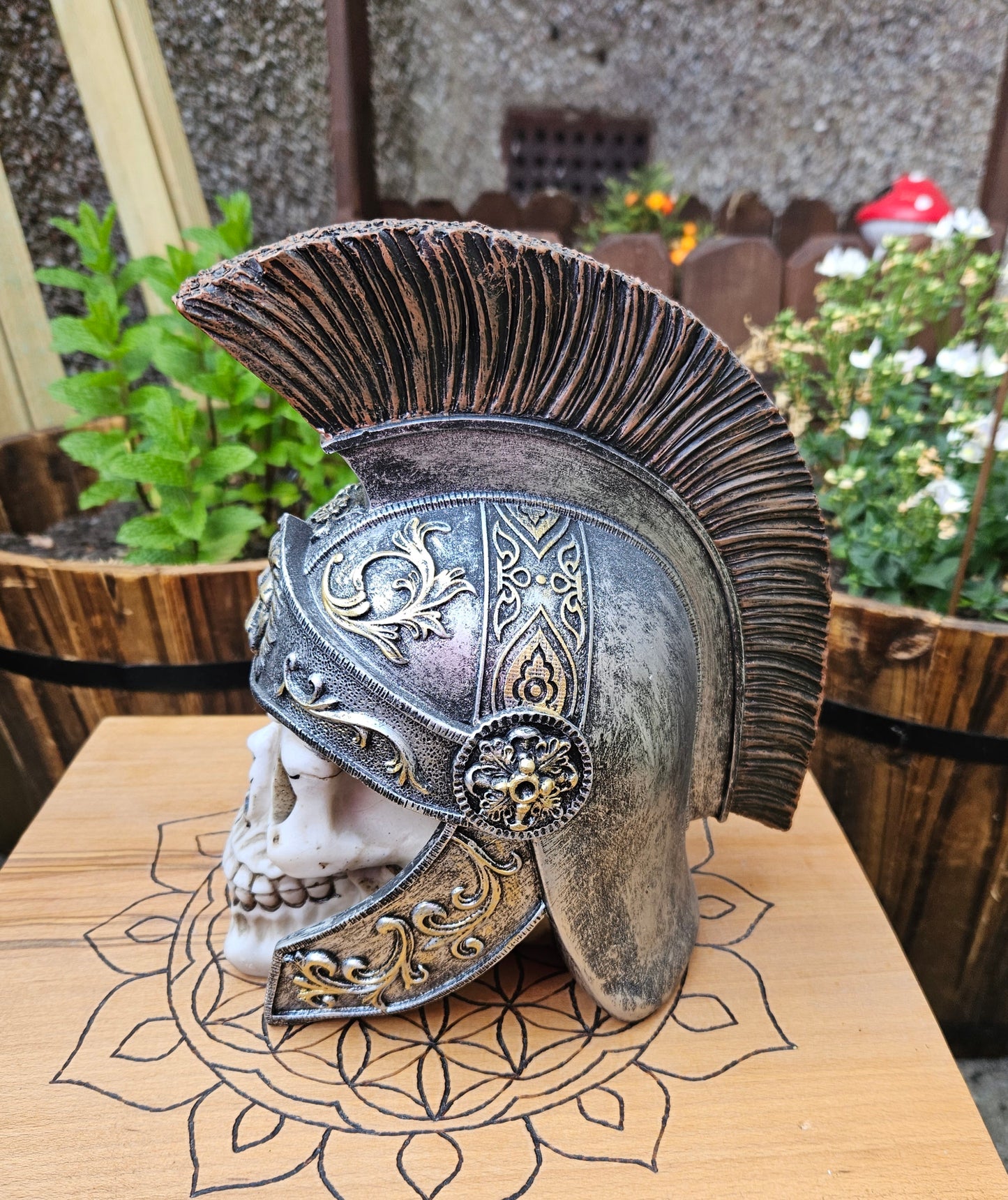Roman Skull (Not its licensed name) - Nemesis Now - EX Display (No Box)