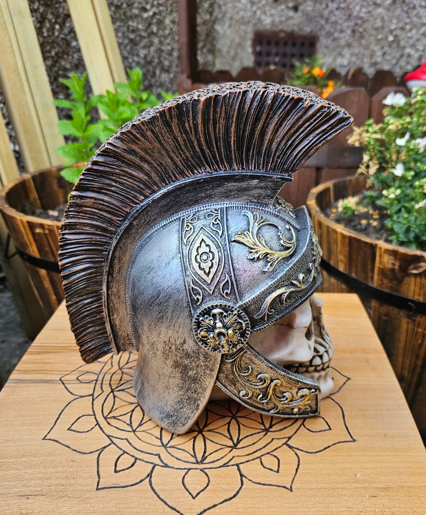 Roman Skull (Not its licensed name) - Nemesis Now - EX Display (No Box)
