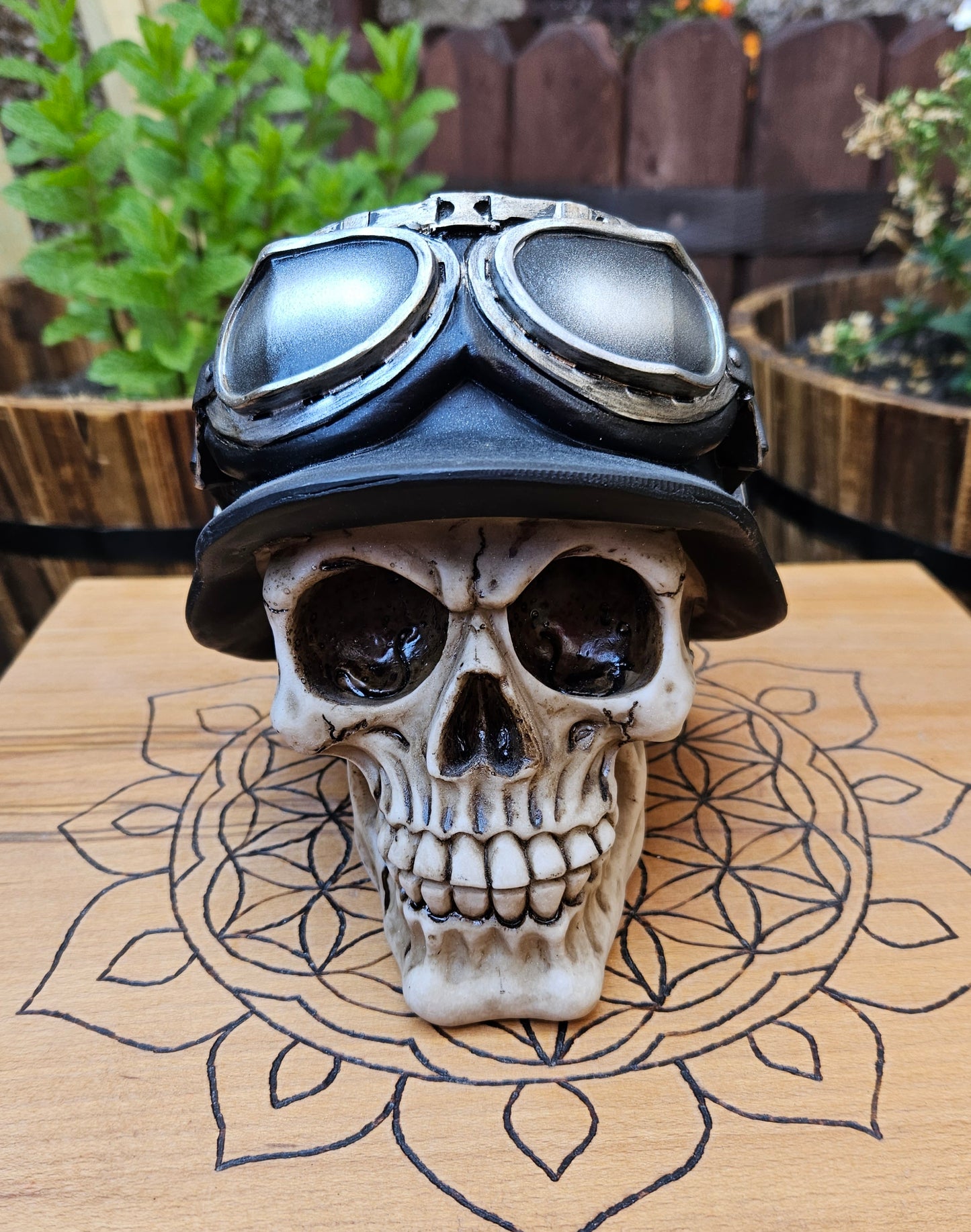 Iron Cross Skull - Nemesis Now - EX Display (No Box)