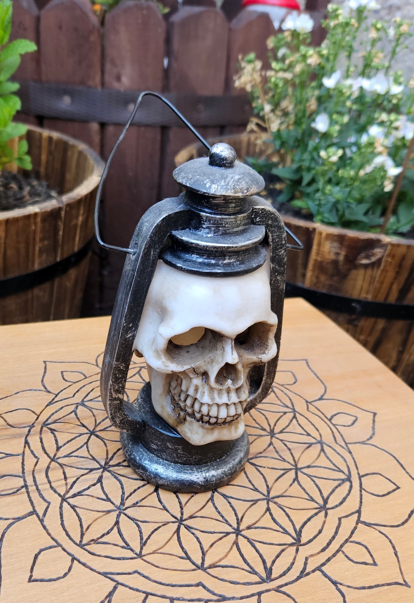 Skull Latern- EX Display (No Box)