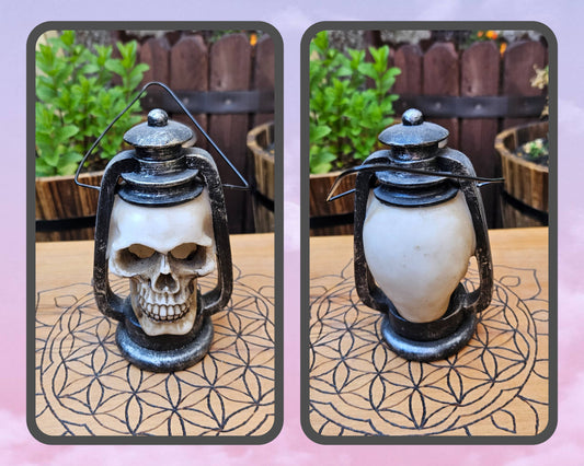Skull Latern- EX Display (No Box)