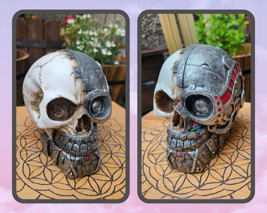 Cyber Skull (Not its licensed name) - Nemesis Now - EX Display (No Box)