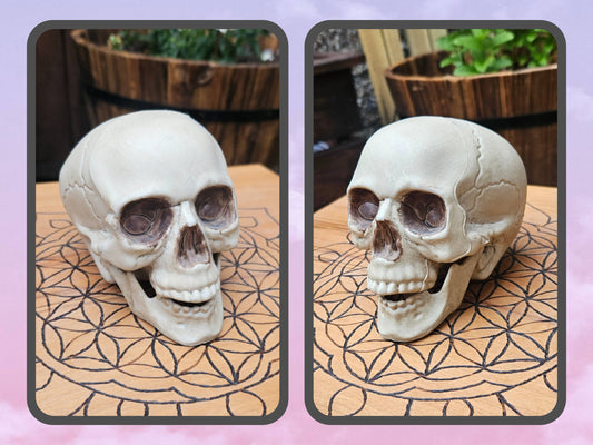 Hollow Laughing Skull - EX Display (No Box)