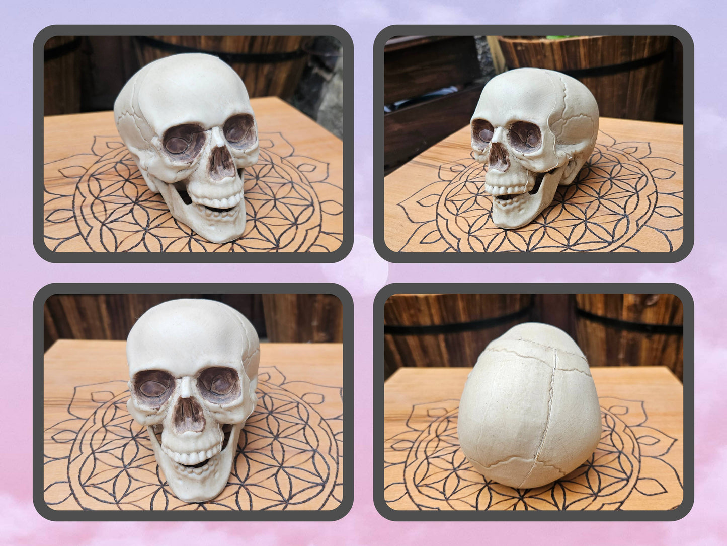 Hollow Laughing Skull - EX Display (No Box)