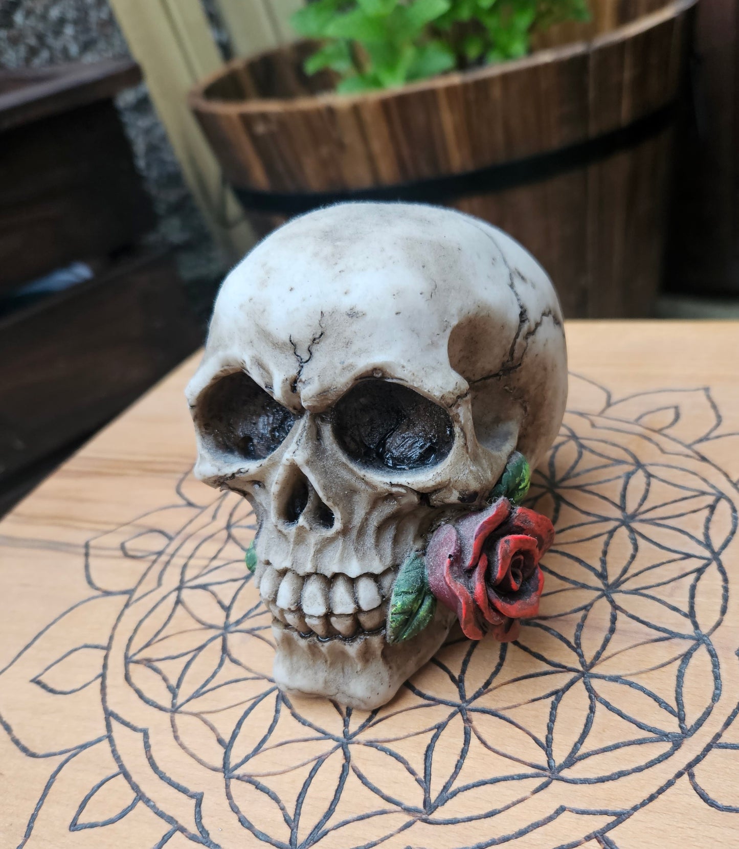 Romance Skull (Rose) (Not its licensed name) - Nemesis Now - EX Display (No Box)