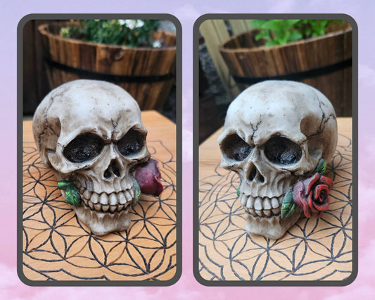 Romance Skull (Rose) (Not its licensed name) - Nemesis Now - EX Display (No Box)