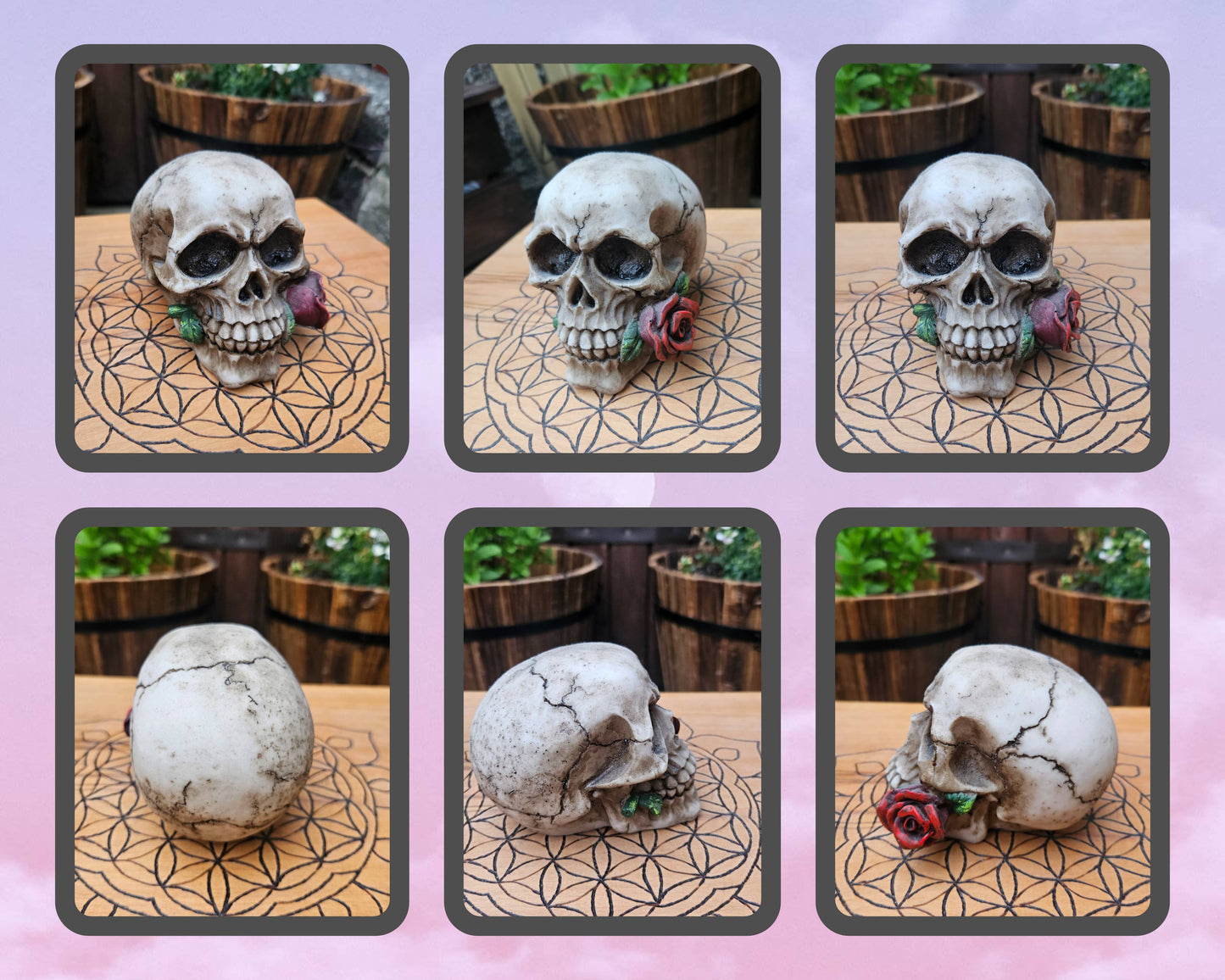 Romance Skull (Rose) (Not its licensed name) - Nemesis Now - EX Display (No Box)
