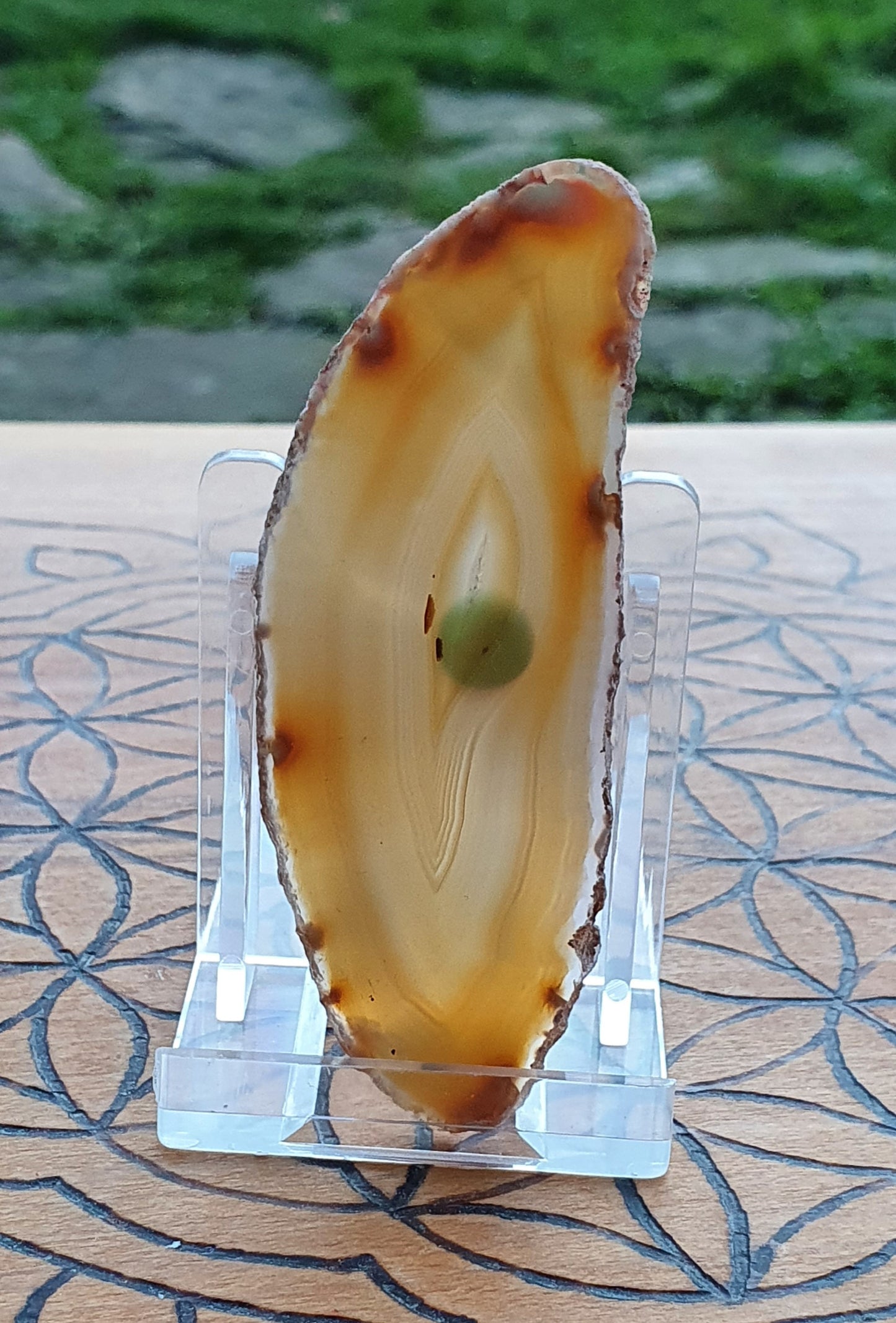Agate Slice - Various - 1 supplied